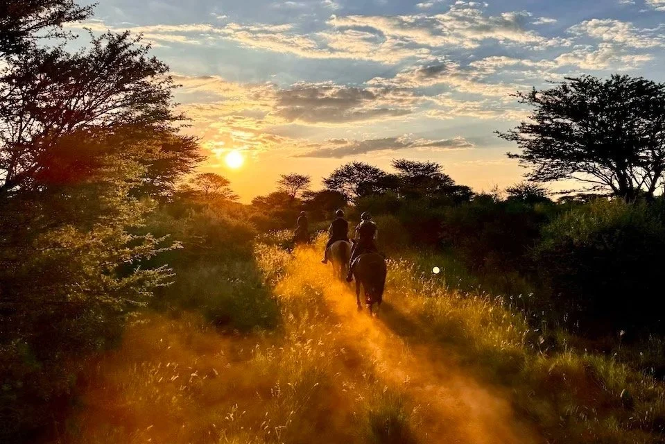 Pferde-Safari &amp; Yoga in Namibia - mit Debbie 