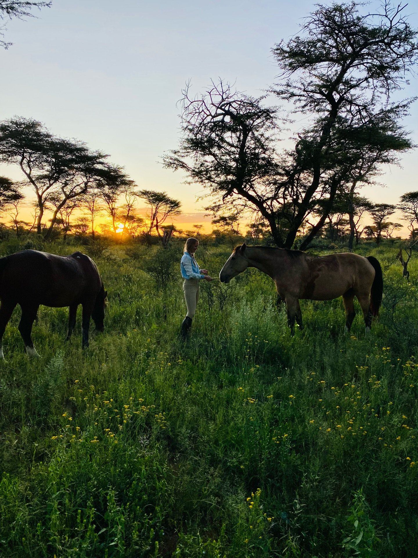 Ich werde oft gefragt, wie ich meine Retreat-Locations finde. Die ehrliche Antwort ist: Es gibt kein fixes Rezept, sondern ganz unterschiedliche Wege, Erfahrungen und Begegnungen, die am Ende zusammenkommen. Genau dar&uuml;ber habe ich einen Blogbeit