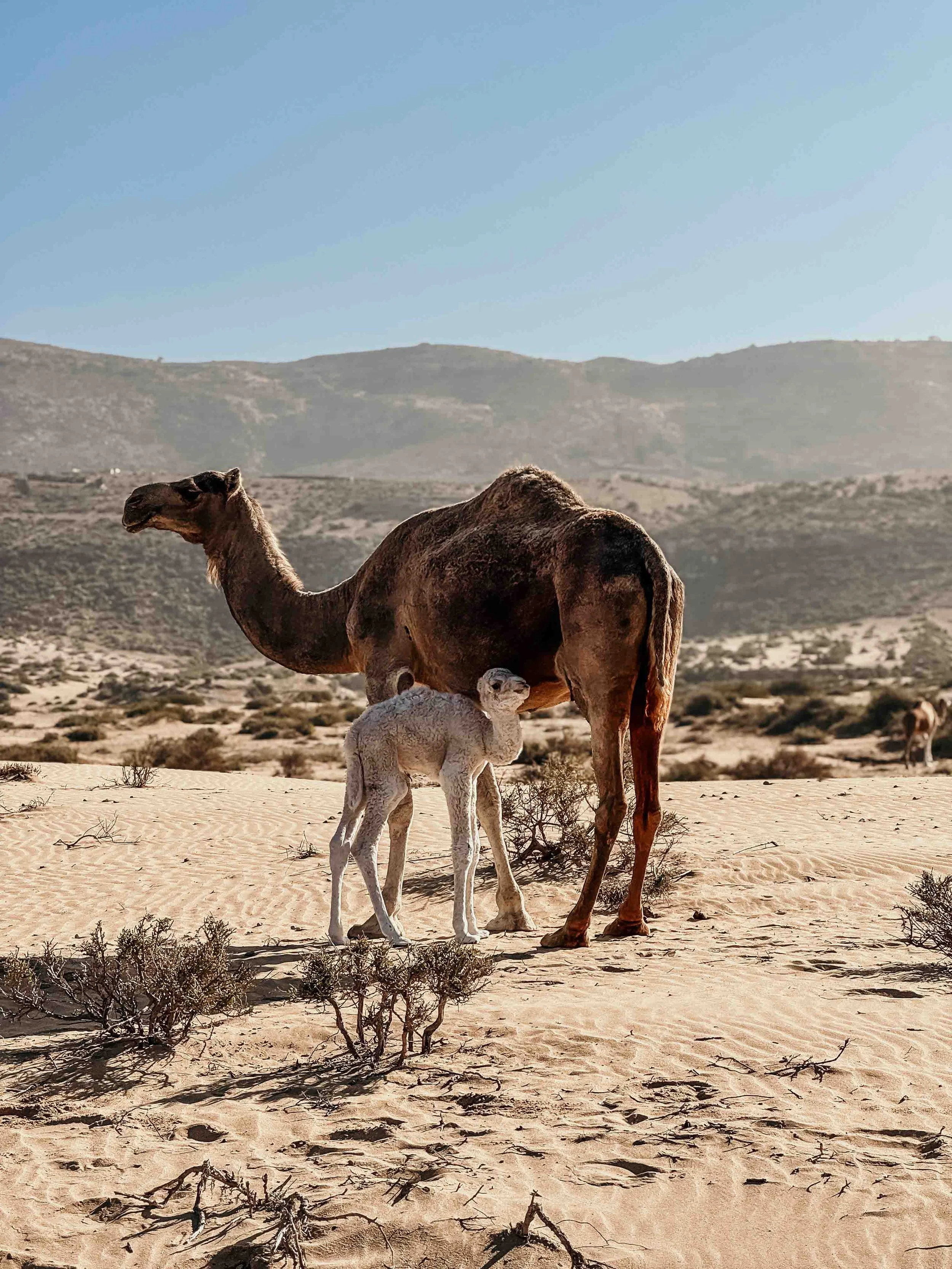 25 Atlantic Ride - 2 Tag 33.jpg