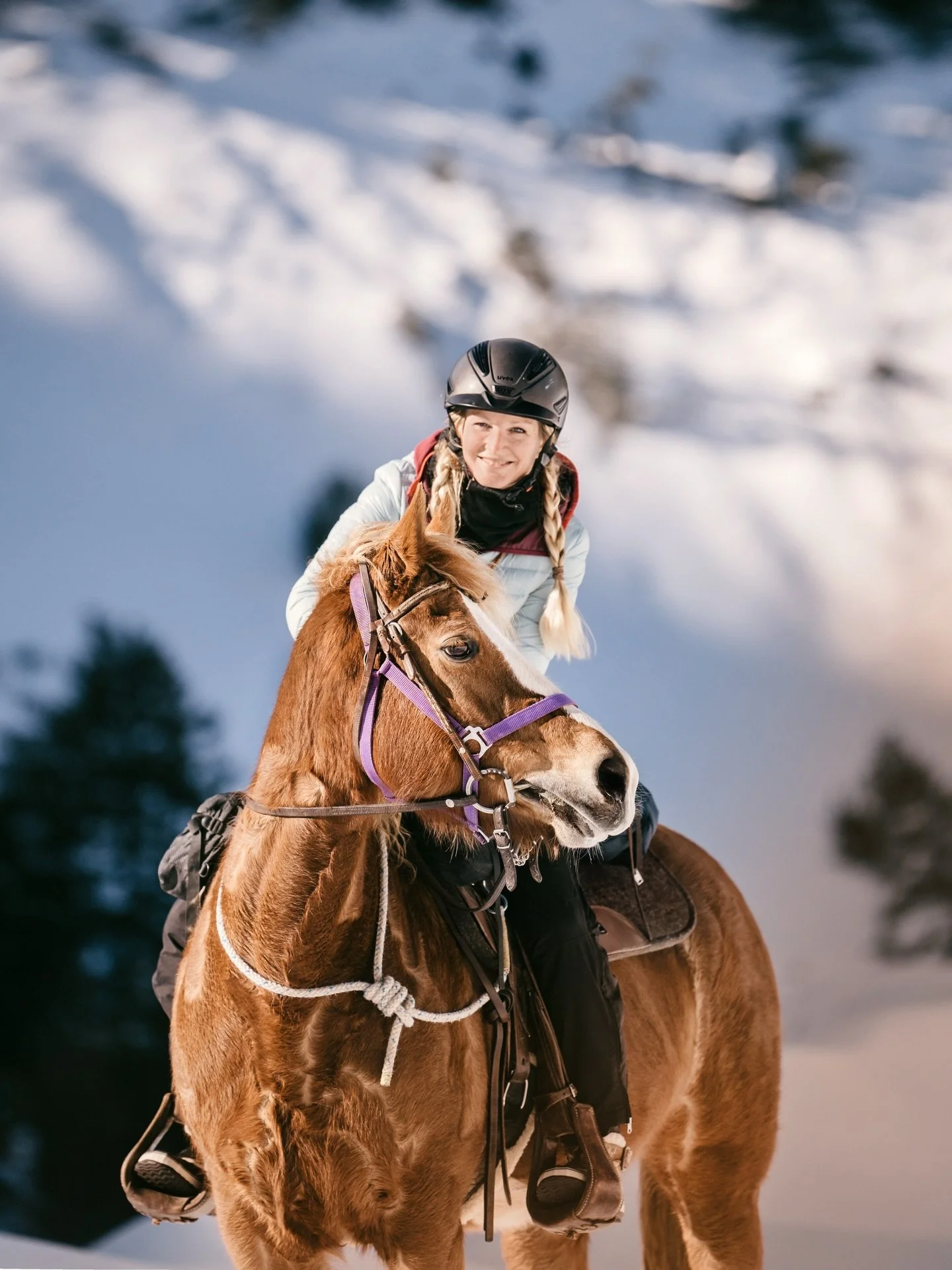F&uuml;r alle, die neu hier sind, m&ouml;chte ich mich gerne vorstellen. Ich bin Catherine und f&uuml;hre die Reiten &amp; Yoga Retreats seit 2014 durch &ndash; mein Herzprojekt und meine Passion &hearts;️ Denn Pferde begeistern mich, seit ich denken