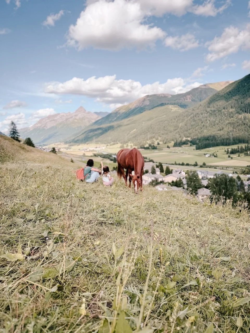 Kennst du das? Zwischen Terminen, Nachrichten und To-do-Listen bleibt kaum Raum, wirklich anzukommen. Und selbst wenn du abends neben deinem Kind am Tisch sitzt, merkst du manchmal, dass du innerlich noch ganz woanders bist.

Du willst nicht nur orga