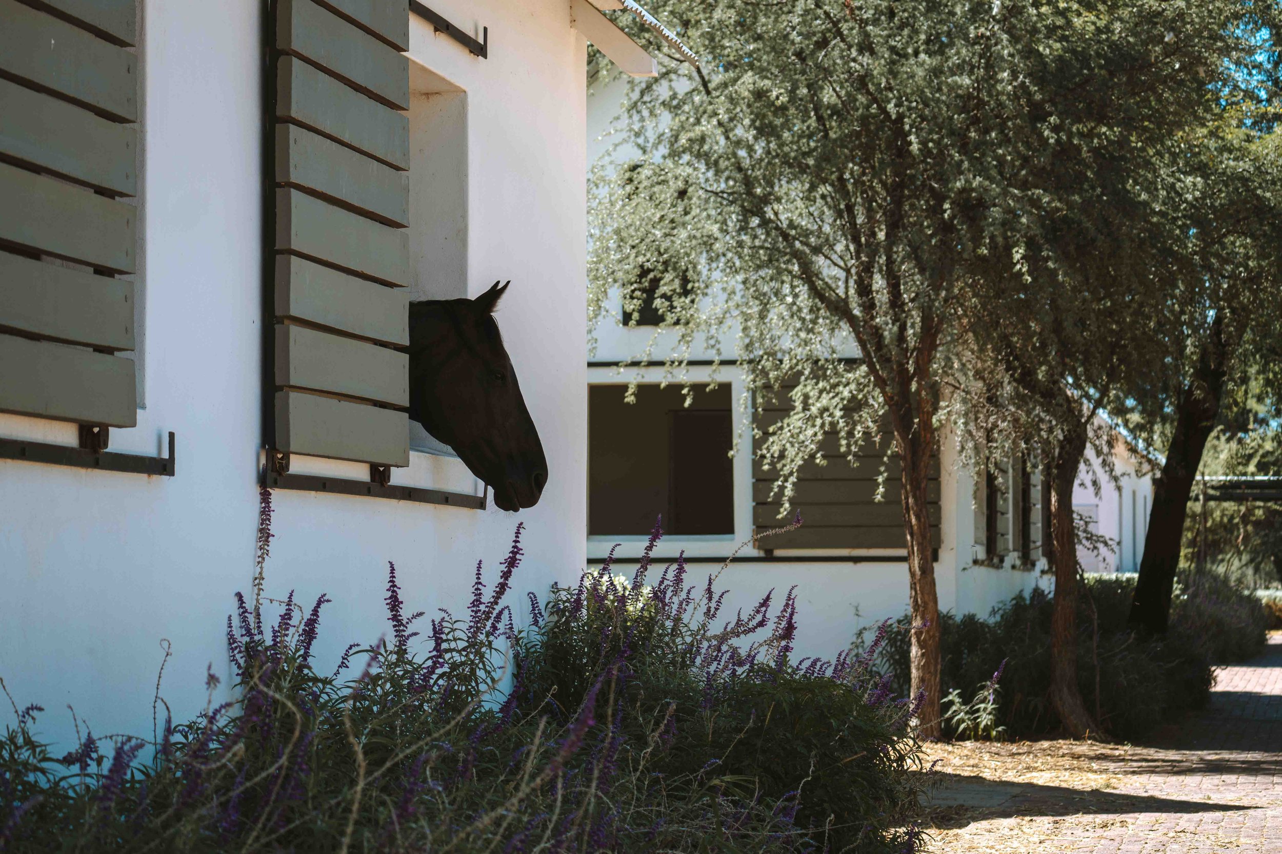 2602 Sandwerf 272.jpg