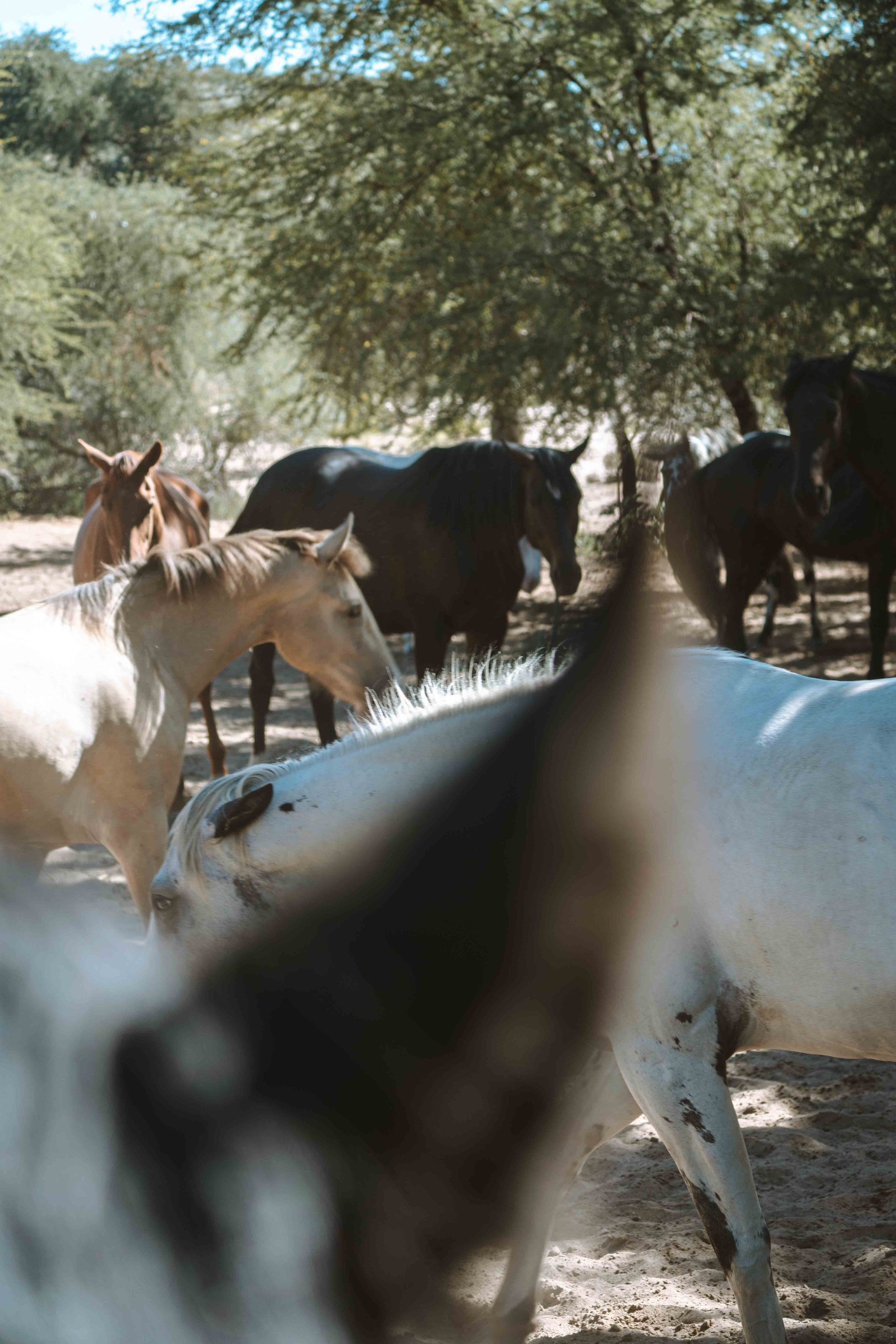 2602 Sandwerf 318.jpg