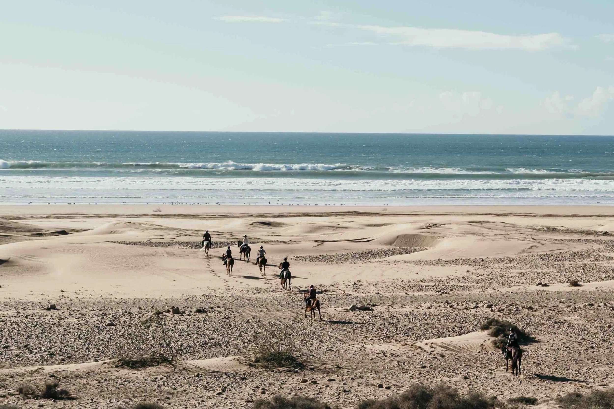 2 LETZTE PLÄTZE - 5 Tage Atlantikritt mit Fotobegleitung - mit Joanna