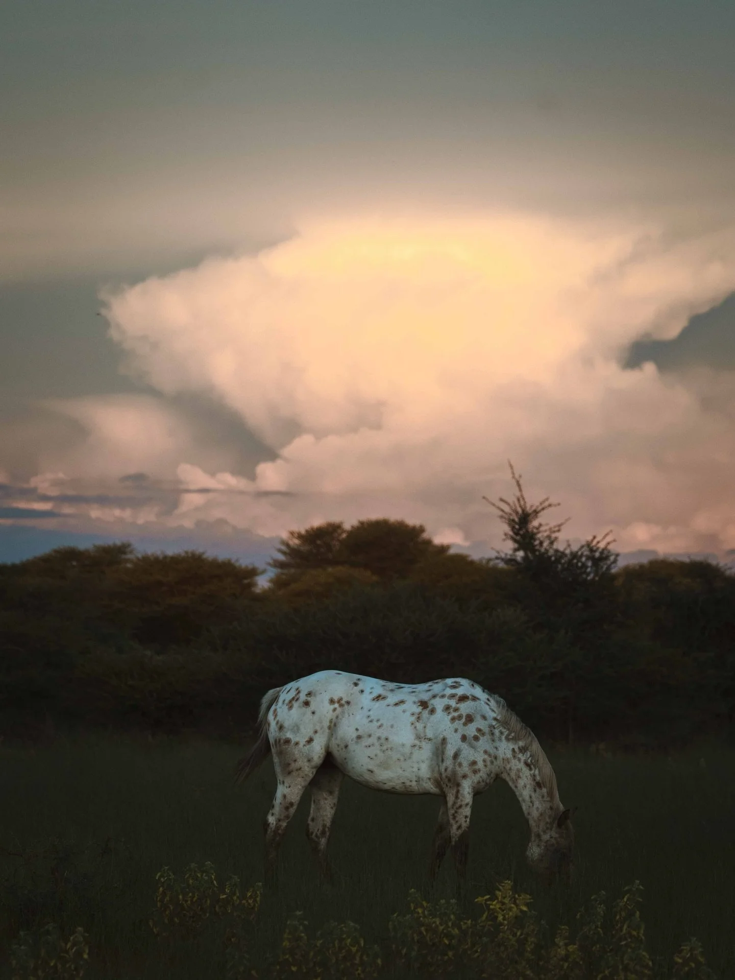 Der 2. Monat von 2026 ist bald vorbei, und ich schaue zur&uuml;ck, was passiert ist. Ich finde das ein sch&ouml;nes Ritual und kann es dir sehr empfehlen. Es zeigt dir, was du alles erreicht und erlebt hast, wo du im n&auml;chsten Monat vielleicht et