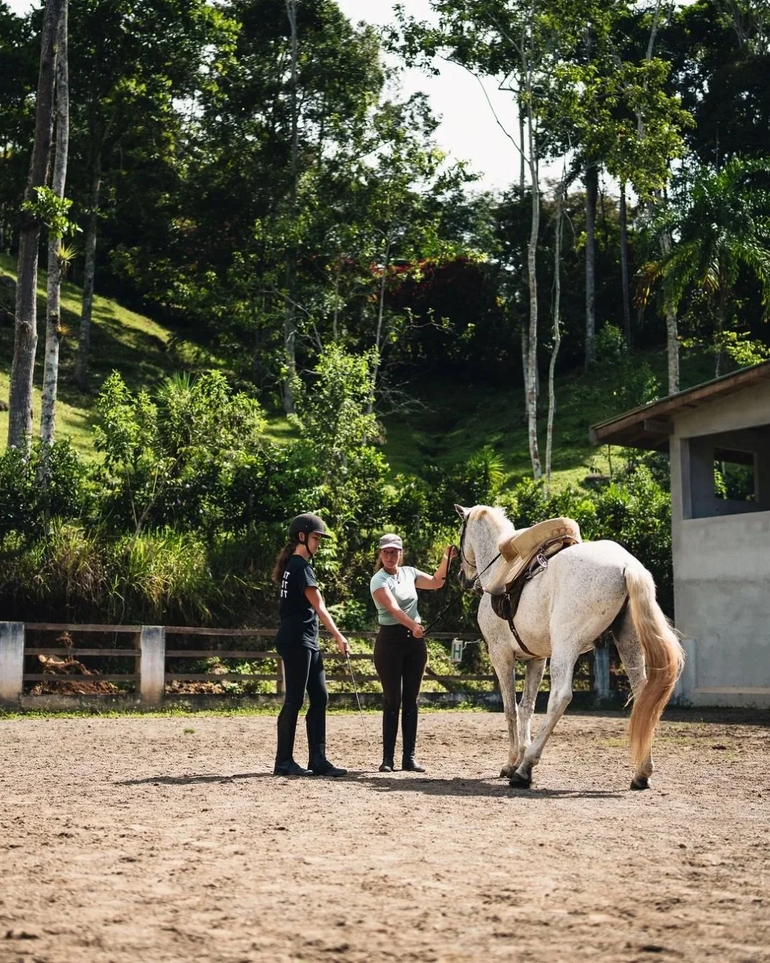 Du m&ouml;chtest einen Costa Rica Retreat erleben? Pssst&hellip;. Geheimtipp kleine Trockenzeit 🦥🌿🦜🐎

Auf der @fincasoley in Costa Rica hast du die M&ouml;glichkeit, dich w&auml;hrend einer Woche als Reiterin weiterzubilden und gleichzeitig inmit