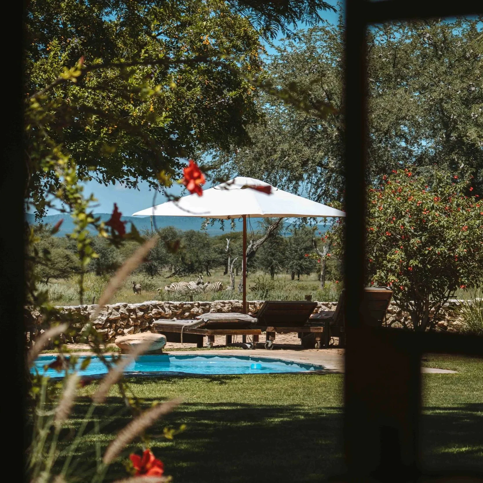 Reitsafari &amp; Yoga '26