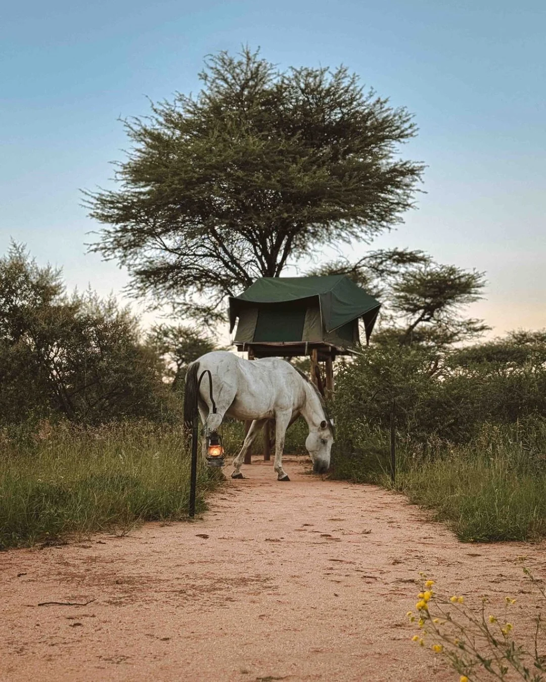 Bilder k&ouml;nnen die wahre Magie Namibias nicht erfassen&hellip; Ich zeige dir dennoch gerne das, was ich in Fotos doch festhalten konnte: H&ouml;rst du auch beinahe die Ger&auml;usche der afrikanischen Wildnis um dich herum? Sp&uuml;rst du die san