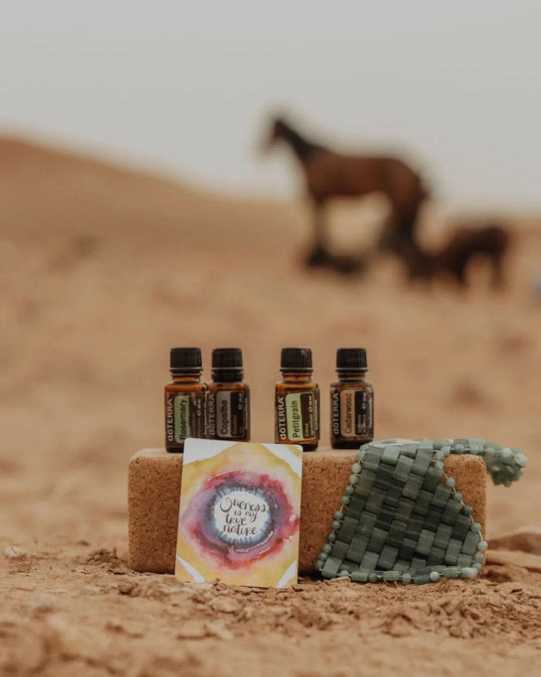 Ob im alten &Auml;gypten, Griechenland, Rom oder Frankreich: Der Wert von &auml;therischen &Ouml;len und deren Nutzung zur Aromatherapie im weitesten Sinne wurde bereits vor langer Zeit gesch&auml;tzt ✨

Wenn du schonmal bei einem meiner Retreats dab