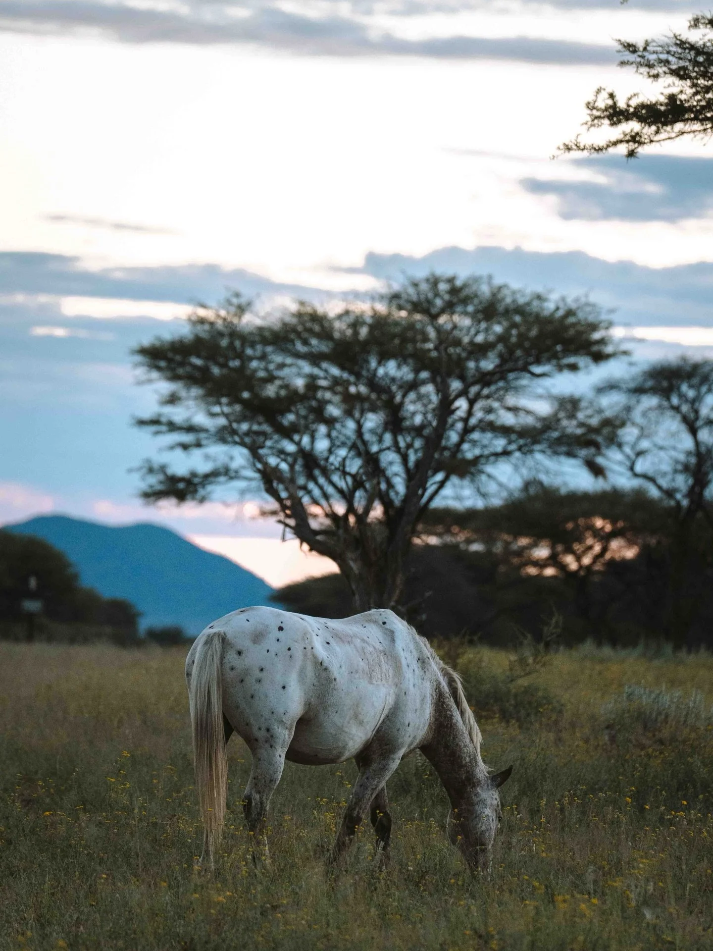 Das Ende eines Monats ist ein guter Zeitpunkt, kurz innezuhalten.

Ich schaue jeden Monat gerne zur&uuml;ck &ndash; auf das, was war, was sich gut angef&uuml;hlt hat, und was vielleicht weniger davon sein darf. Und ich lade dich ein, dasselbe zu tun:
