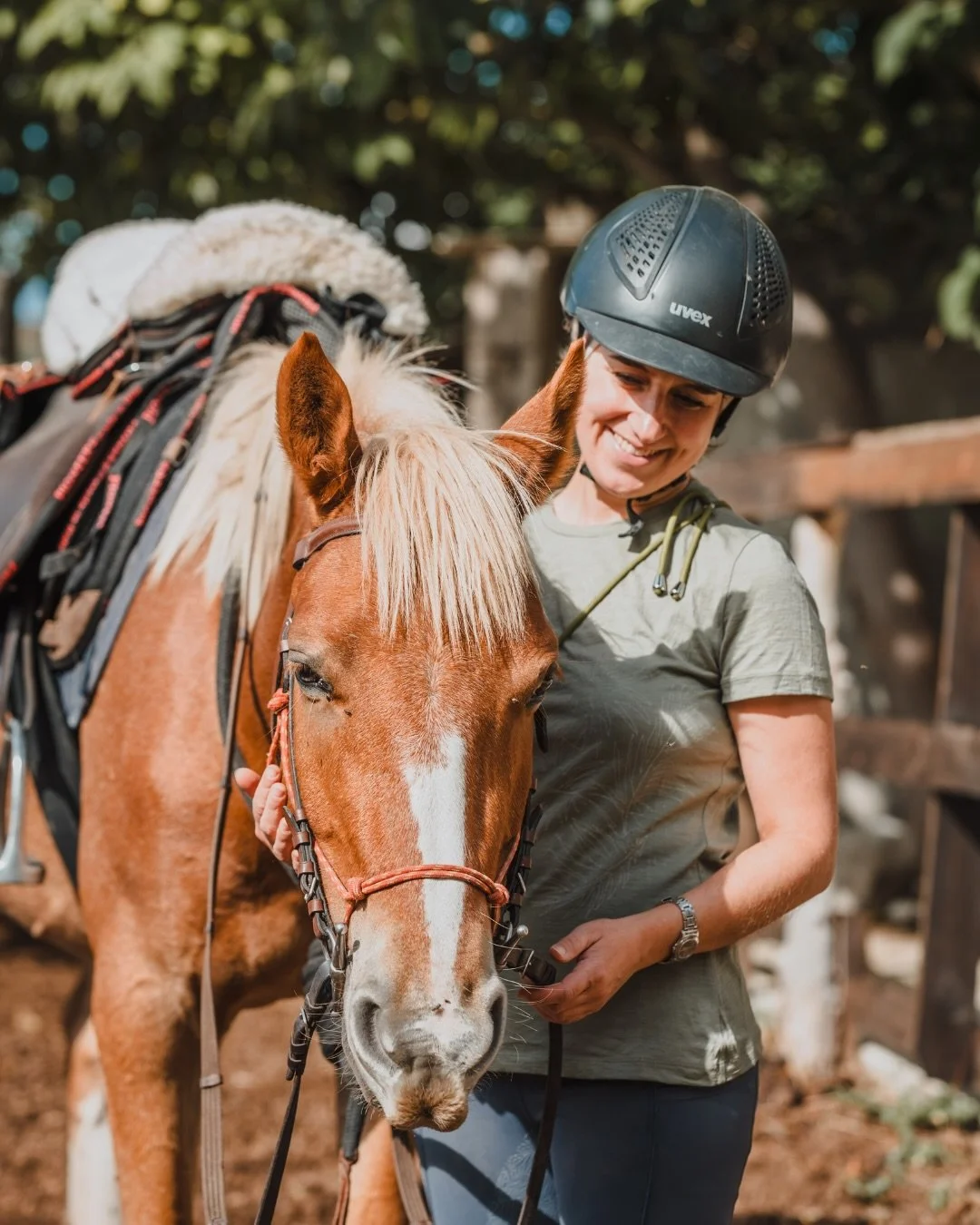 Die ruhige Landschaft Siziliens - und genug Raum, um entspannt (wieder) mit dem Reiten zu beginnen: Das bieten wir dir im neuen Reitanf&auml;ngerkurs bei @sikanihorsetrek 🐴&nbsp;🍇&nbsp;⛰️

Anna @horsense_it f&uuml;hrt dich in dieser Woche behutsam 