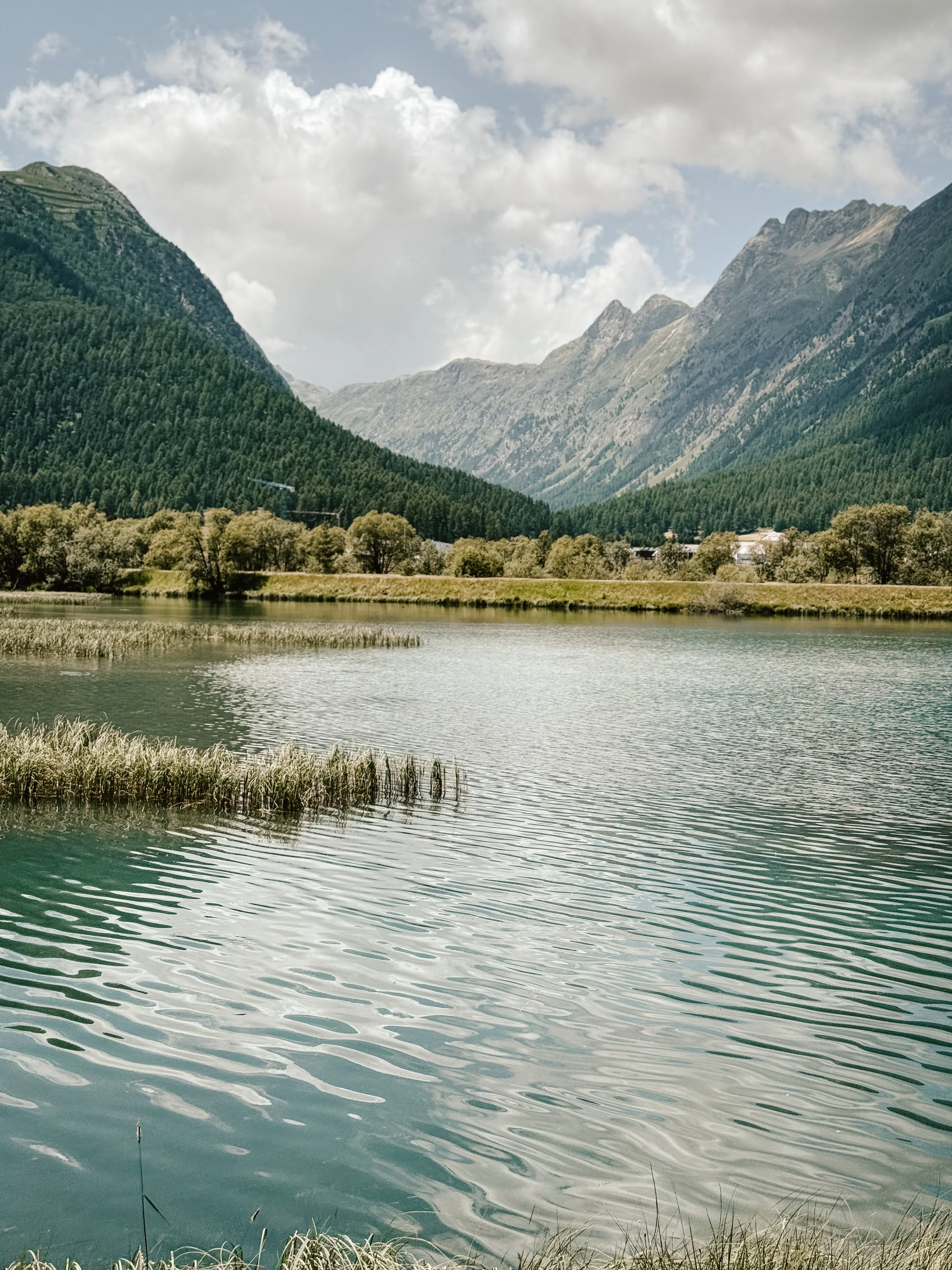 25 RYE 8 Morteratsch Fotos 622.jpg