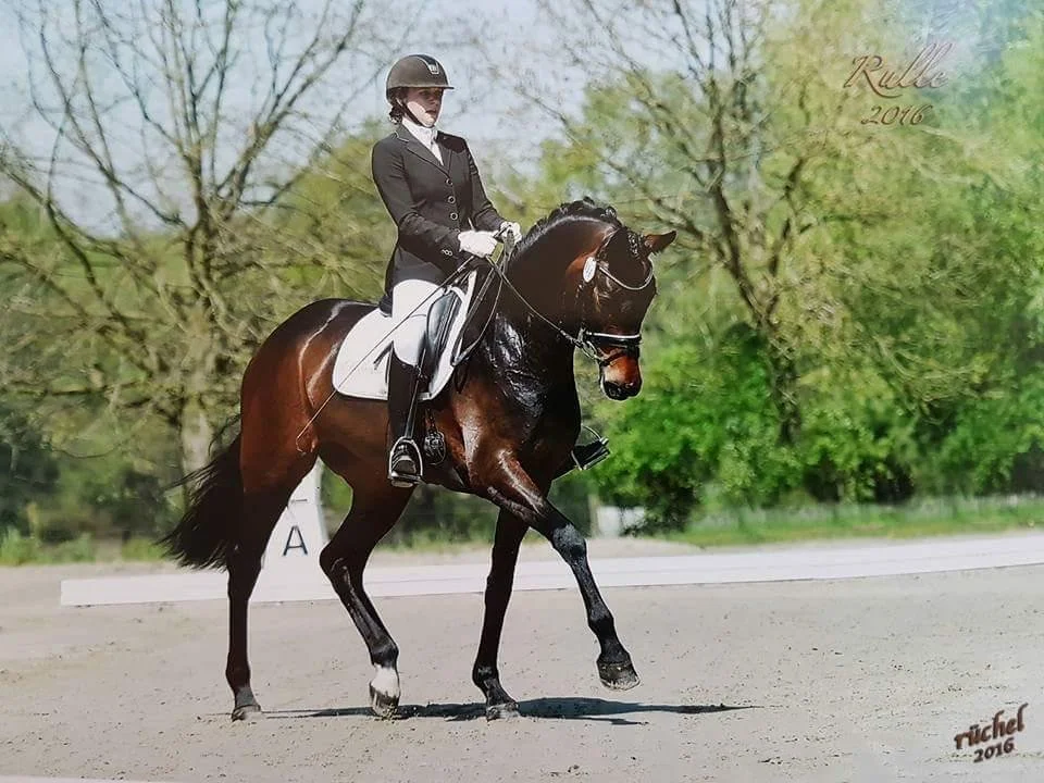 WhatsApp Image 2026-03-29 at 13.24.44 (3).jpeg