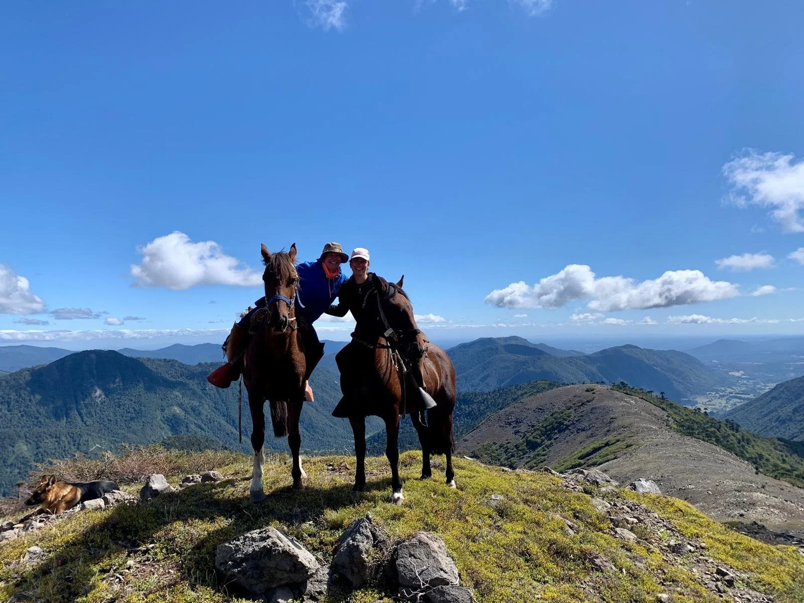 WhatsApp Image 2026-03-29 at 13.24.44 (1).jpeg