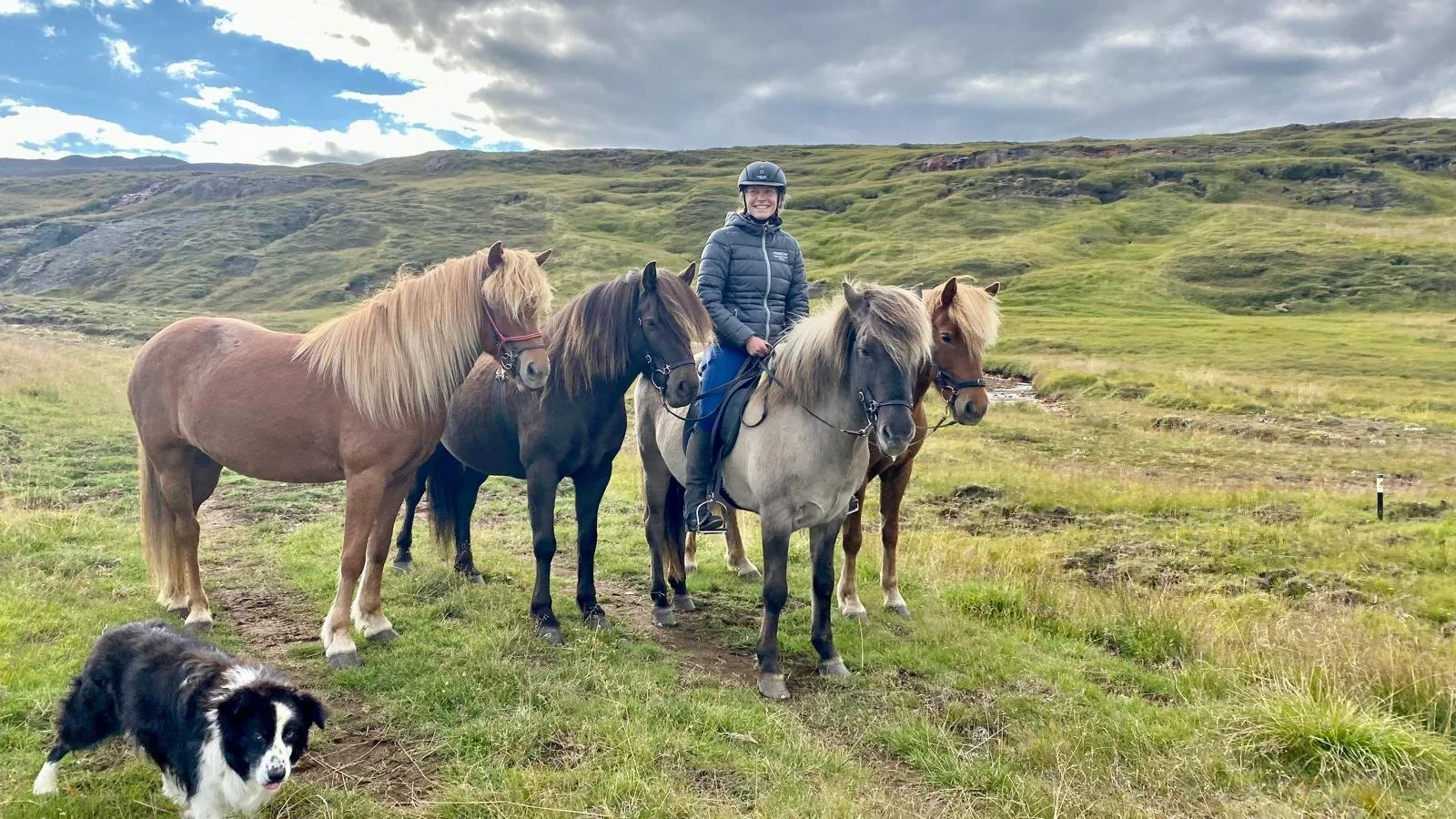 WhatsApp Image 2026-03-29 at 13.24.43.jpeg