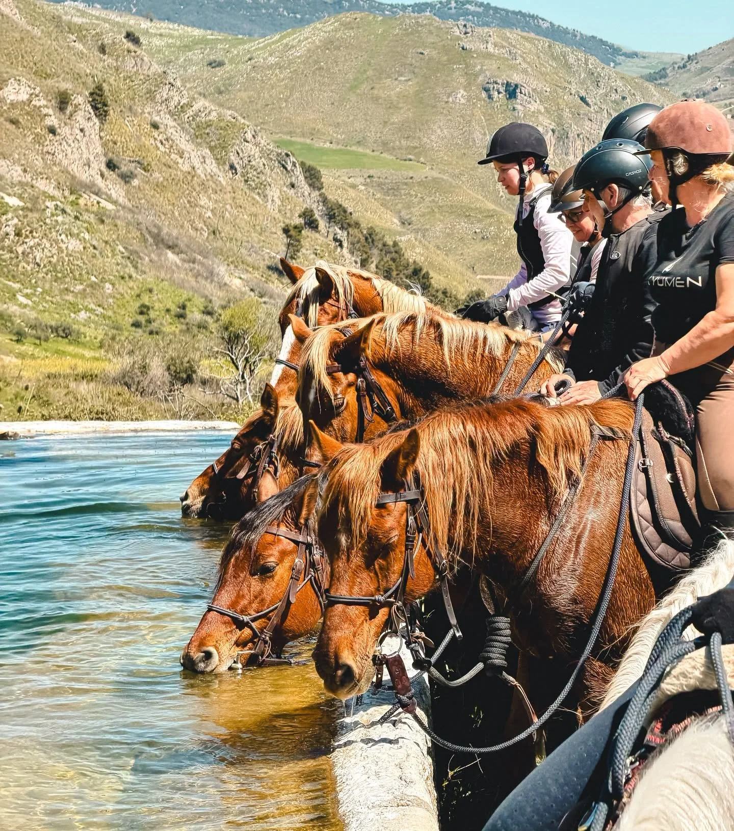 La Dolce Vita in Sizilien ✨🍷🍇 Das haben die Teilnehmenden des ersten La Dolce Vita Retreats dieses Jahr in vollen Z&uuml;gen genossen: Lange Ausritte in die Sikani Berge, durch Landschaften, die zu dieser Jahreszeit satt gr&uuml;n anmuten, fein aus
