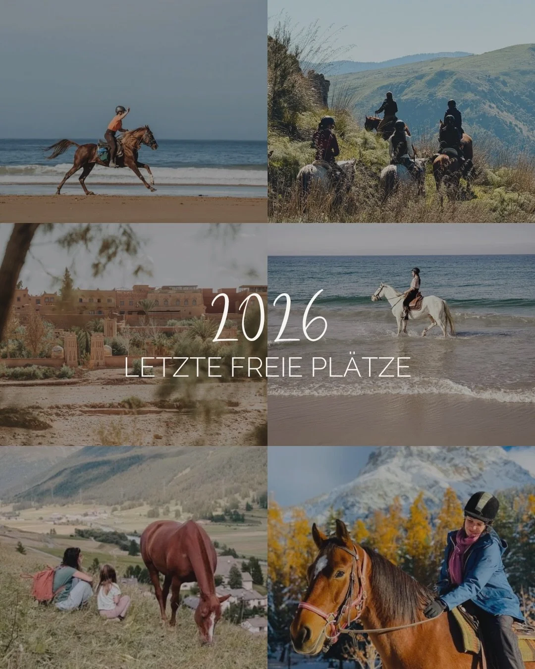 Die Reiten &amp; Yoga Retreats sind oft fr&uuml;h ausgebucht 🐎🧘🏼&zwj;♀️ 2026 hat es momentan nur noch eine Hand voll Pl&auml;tze frei, und zwar in folgenden Retreats:

&bull; Sizilien: Anf&auml;ngerkurs &ldquo;Reitbasis &amp; sicherer Umgang mit P
