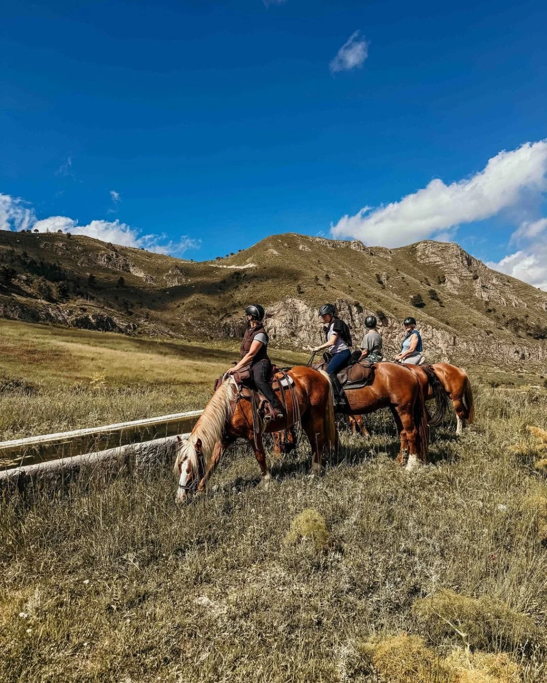 Eindr&uuml;cke vom ersten Reiten &amp; Yoga Retreat in Sizilien 2026 - Bilder, die das einmalige Lebensgef&uuml;hl Siziliens sp&uuml;rbar machen. Wir haben uns in den Yogastunden achtsam bewegt, viele Stunden im Sattel der fein ausgebildeten Pferde v
