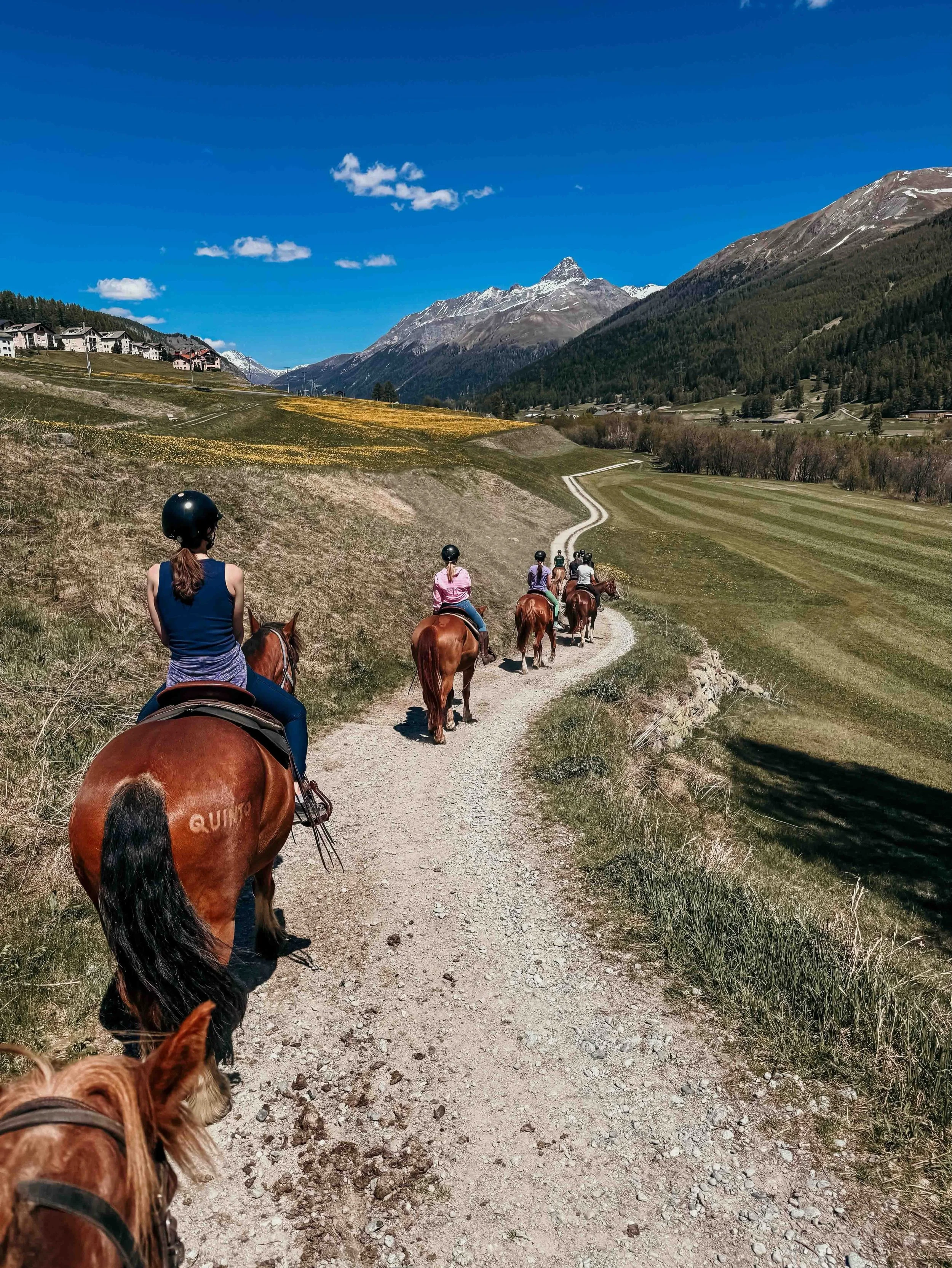 Pfingstritt im Engadin mit der @engadin_river_ranch: Bei wirklich 10/10 Wetter durften wir &uuml;ber Pfingsten mit einer tollen Gruppe von Madulain nach Zernez reiten und die Engadiner Bergwelt so richtig auf uns wirken lassen. In diesen drei Tagen h