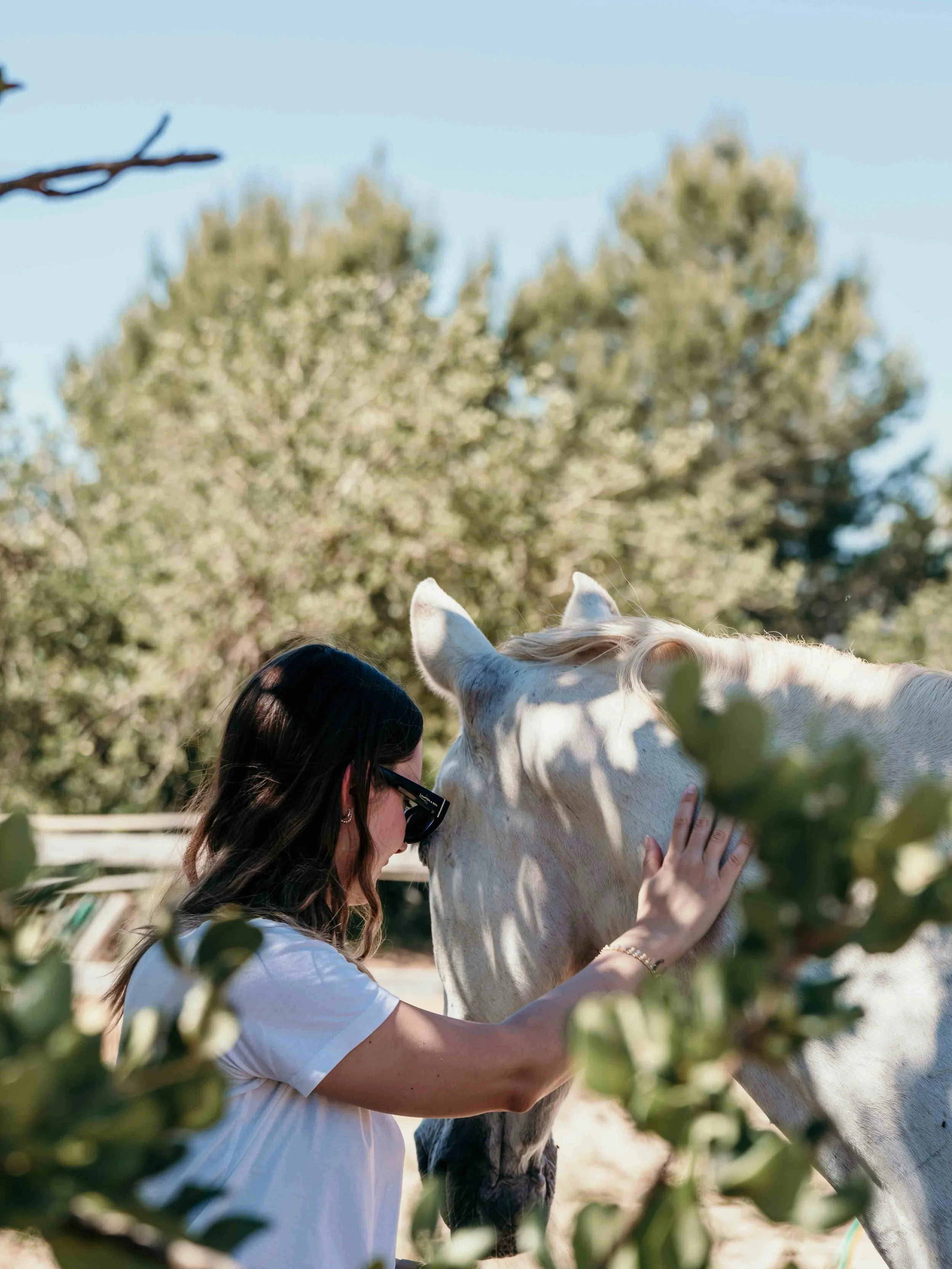 Heilende Tage auf Ibiza 🐎☀️✨ Letzte Woche kam eine wunderbare Gruppe von Frauen auf Ibiza zusammen und hat unseren Horse Health Heal Retreat erlebt. In dieser besonderen Woche lebten wir auf einer sch&ouml;nen Finca im l&auml;ndlichen Ibiza, wurden 
