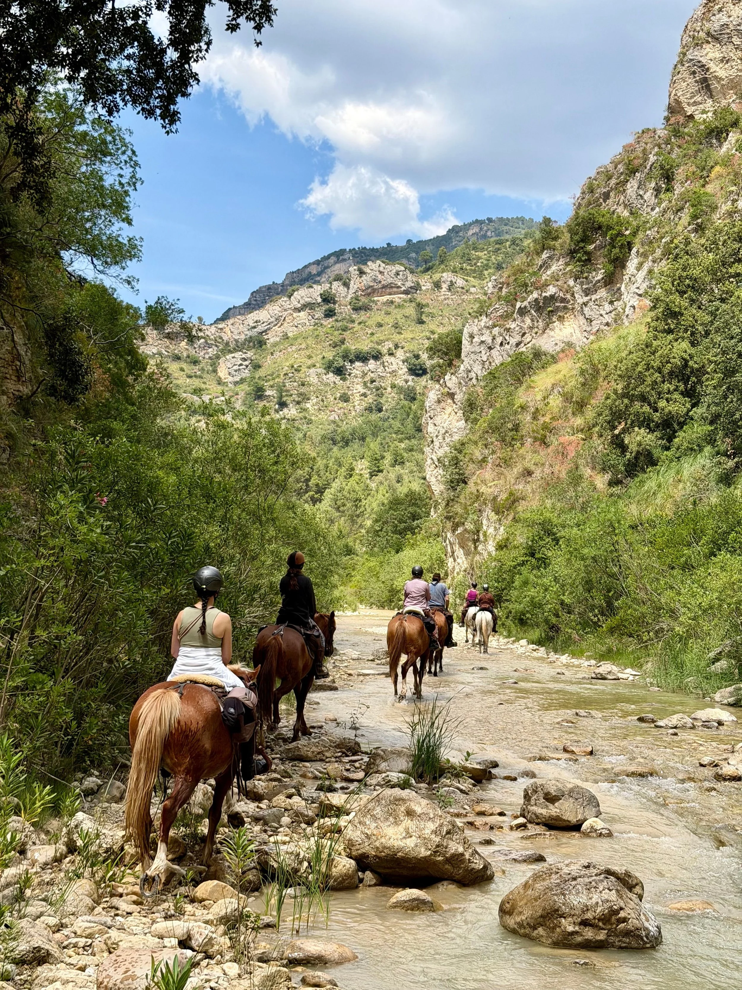 Ende Mai brach in Sizilien eine Gruppe auf die wundersch&ouml;ne Rotta Sicana auf 🐎⛰️🌊 Dieser einw&ouml;chige Wanderritt f&uuml;hrt aus den wilden Sicani Bergen im Inland Siziliens durch abwechslungsreiche Landschaften bis hin zum Meer, wo die Tour