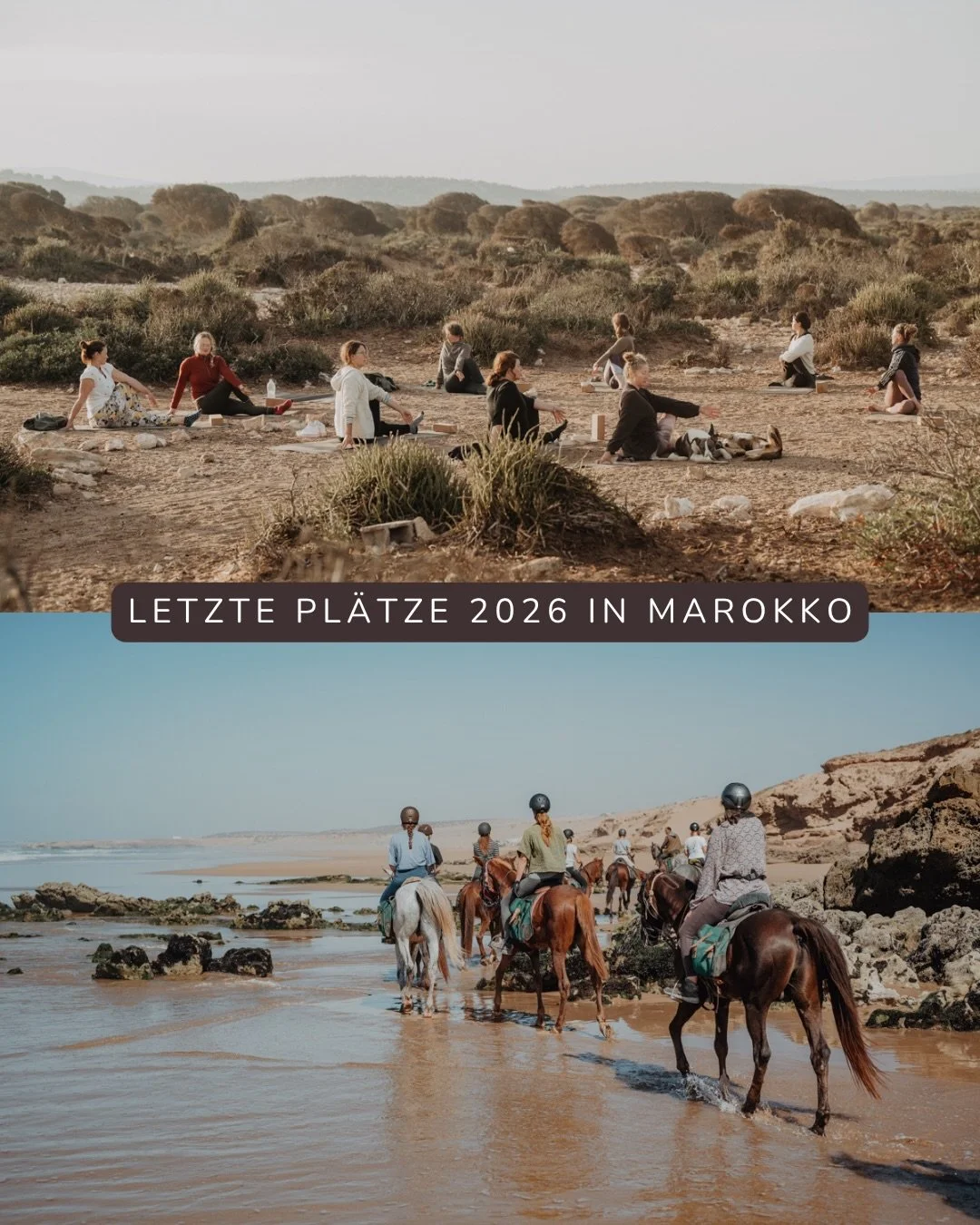 2026 hat es noch ein paar allerletzte Pl&auml;tze frei in drei unterschiedlichen Marokko Retreats, die ich dir heute gerne vorstelle - vielleicht ist einer davon f&uuml;r dich?☀️🌅🐎⛰️

Vom 27. September - 2. Oktober findet der neue Reiten &amp; Kult