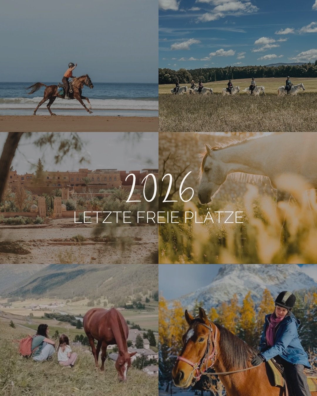 Die Reiten &amp; Yoga Retreats sind oft fr&uuml;h
ausgebucht🧘🏼&zwj;♀️🐴 2026 hat es nur noch eine Hand voll Pl&auml;tze frei, und zwar in folgenden Retreats:

Reiten &amp; Yoga im Jura (neu!) | mit Pia
4.-6. September 2026 - 9 freie Pl&auml;tze

&b