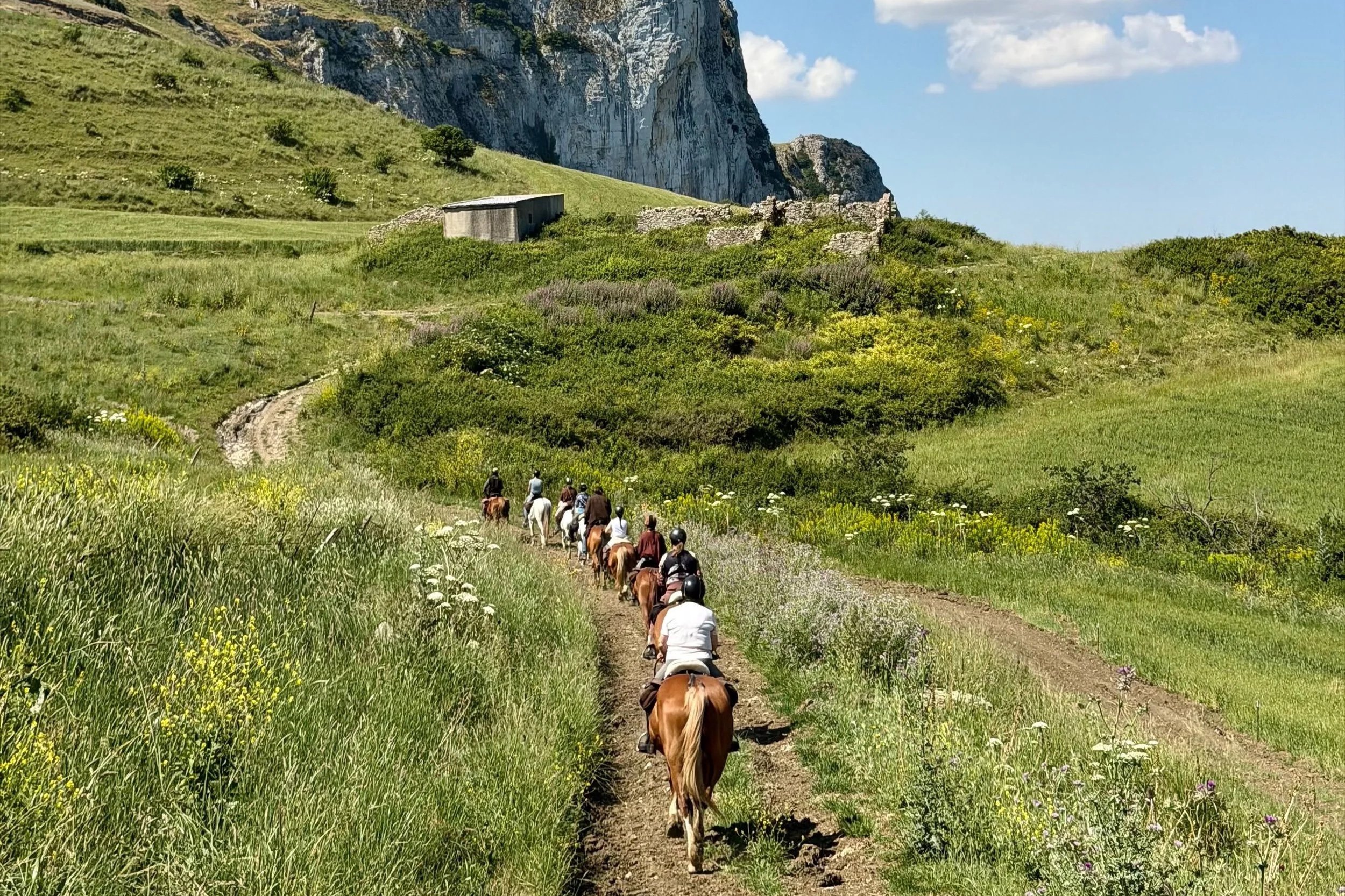 Via dei Mille Ride in Sicily (EN) - with the Azienda Agricola Traina