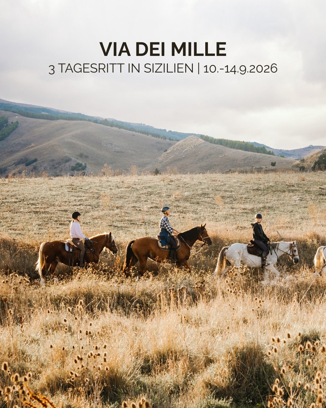 Neu vom 10.-14. September 2026: Via dei Mille - ein Dreitagesritt durch das l&auml;ndliche Sizilien🇮🇹🐎

Manche Wege erz&auml;hlen Geschichten. Andere laden dazu ein, ganz im Moment anzukommen. Der neue Via dei Mille Ritt verbindet beides. In Sizil