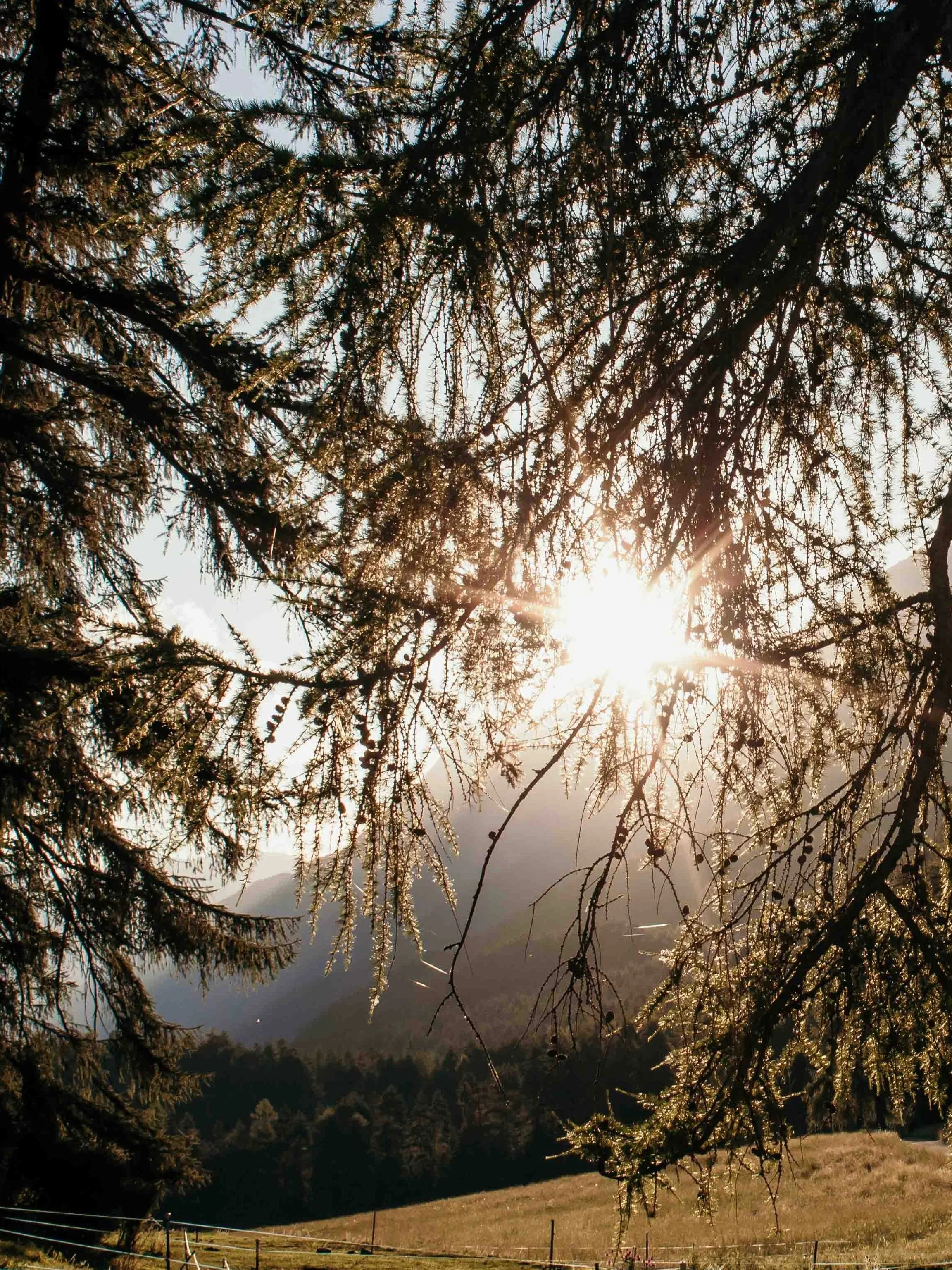 Den Bergsommer im Unterengadin vom Pferd aus erleben und K&ouml;rper und Geist beim Yoga entspannen: Letztes Wochenende fand sich eine tolle Gruppe von Frauen auf @sanjonscuol zusammen, um f&uuml;r drei Tage liebevoll begleitet von Pia @_pia.messer_ 