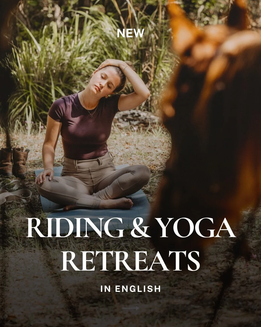 (EN below) Wird jetzt alles anders?👀

Neu bieten wir auch englischsprachige Retreats an. Was das f&uuml;r dich bedeutet und warum wir diesen Schritt gehen, erz&auml;hle ich dir hier.

Reiten &amp; Yoga gibt es seit &uuml;ber 12 Jahren. Lange habe ic