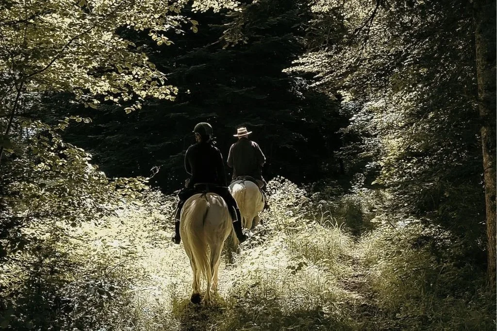 Reiten &amp; Yoga im Jura - mit Pia