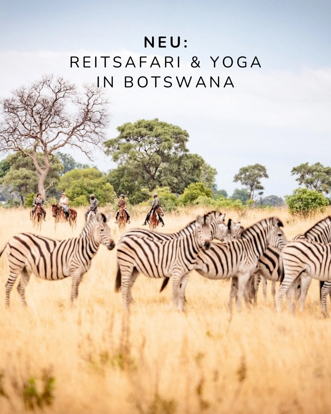 Botswana - die Cr&egrave;me de la Cr&egrave;me der Reitsafaris - gibt&rsquo;s neu auch bei uns, nat&uuml;rlich mit Yoga🐎🧘🏼&zwj;♀️🇧🇼 Absolut eindr&uuml;cklichste Tierbegegnungen, ausgleichendes Yoga begleitet von den Ger&auml;uschen des afrikanis