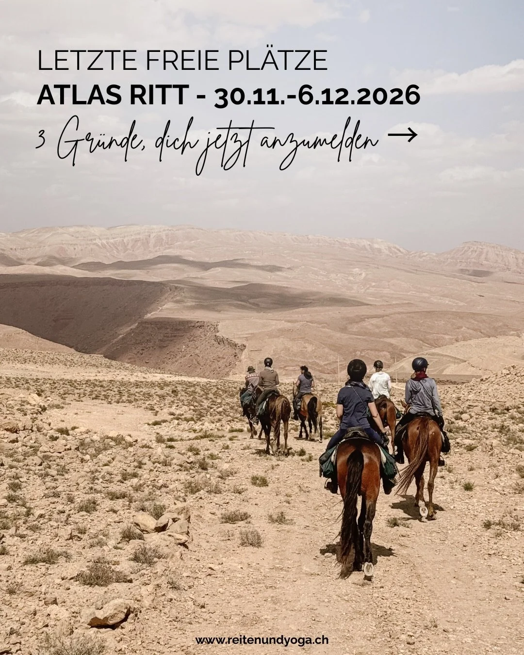 Vom 30. November - 6. Dezember 2026 hat es noch freie Pl&auml;tze f&uuml;r den Atlasritt - begleitet von mir (Catherine), Alissa und Kathi. Dich erwarten lange Reittage in den weiten, stillen Landschaften zwischen dem Atlasgebirge und der W&uuml;ste,