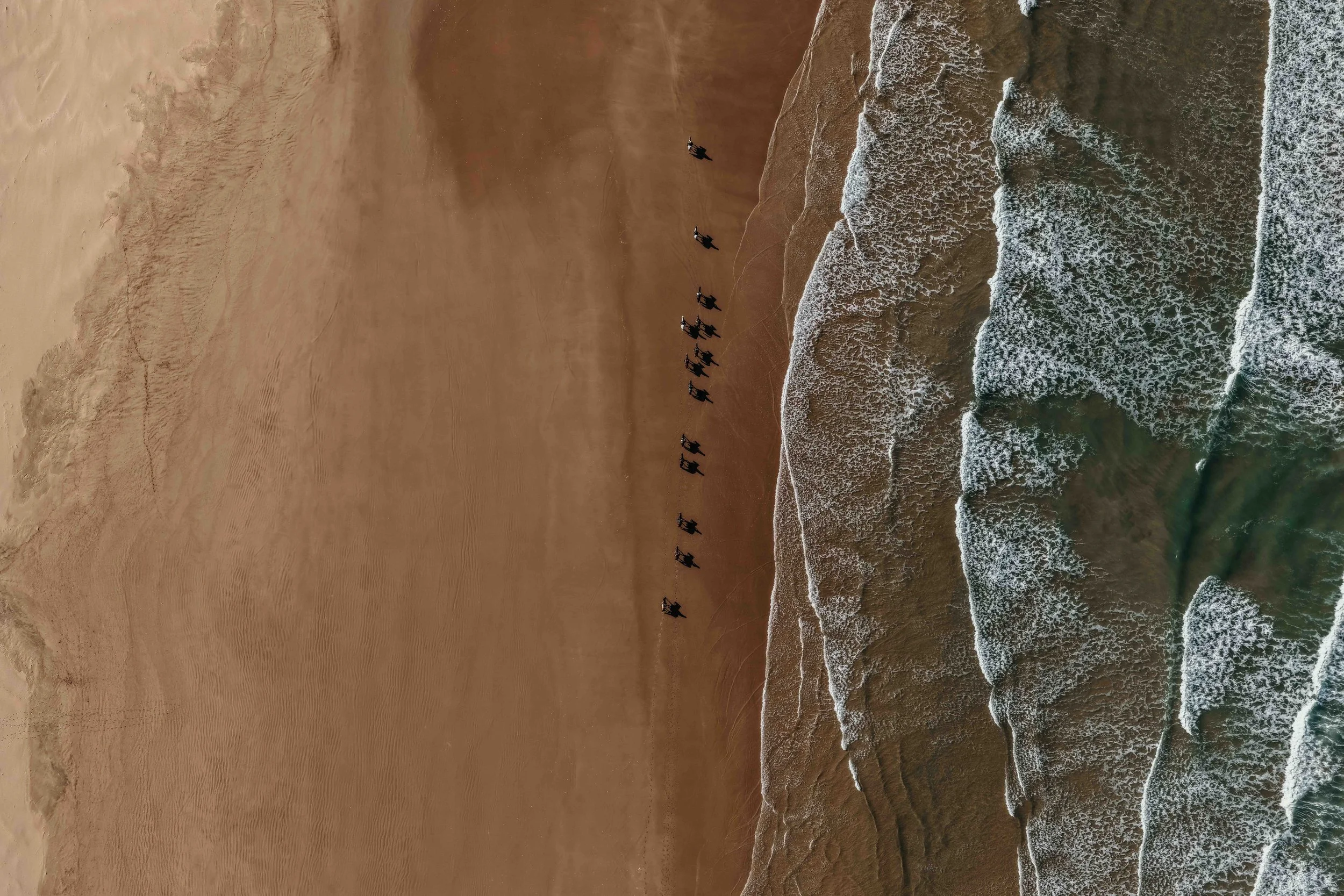 DJI_20251120111102_0110_D.jpg