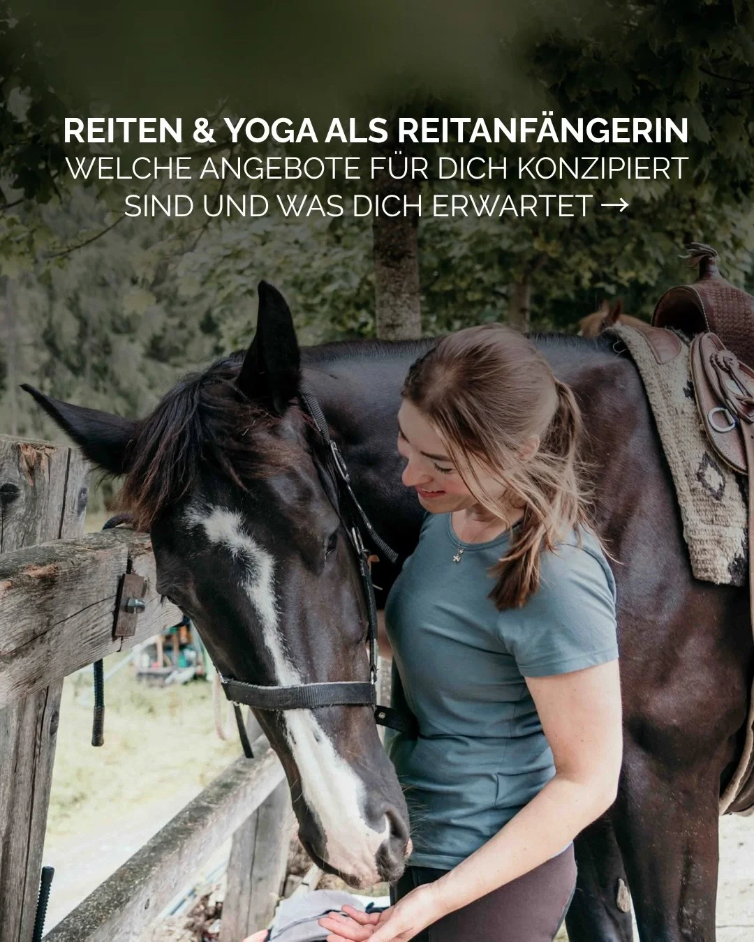 Du bist Reitanf&auml;ngerin, aber w&uuml;nschst dir eine einmalige Auszeit mit @reitenundyoga? Wir haben da was f&uuml;r dich💫 W&auml;hrend sich viele unserer Retreats an erfahrenere Reiterinnen richten, gibt es auch eine Auswahl von Angeboten f&uum