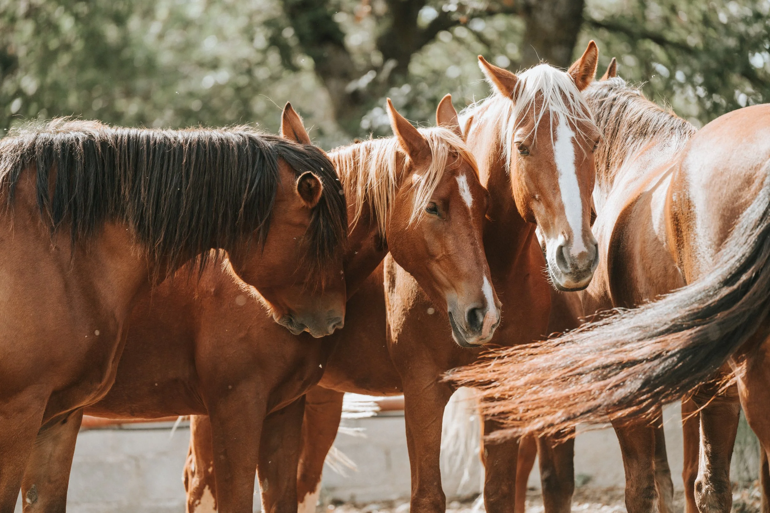 71 - Sizilien25-71.jpg