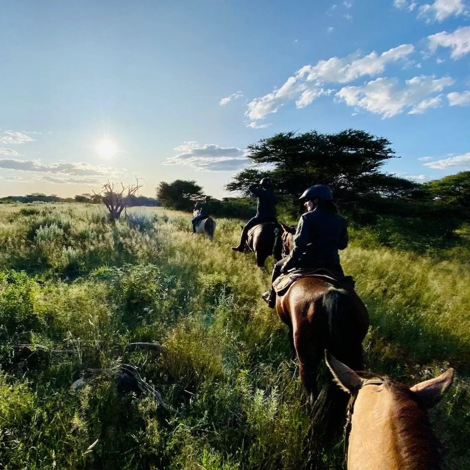 22 Namibia Selektion  242.jpg