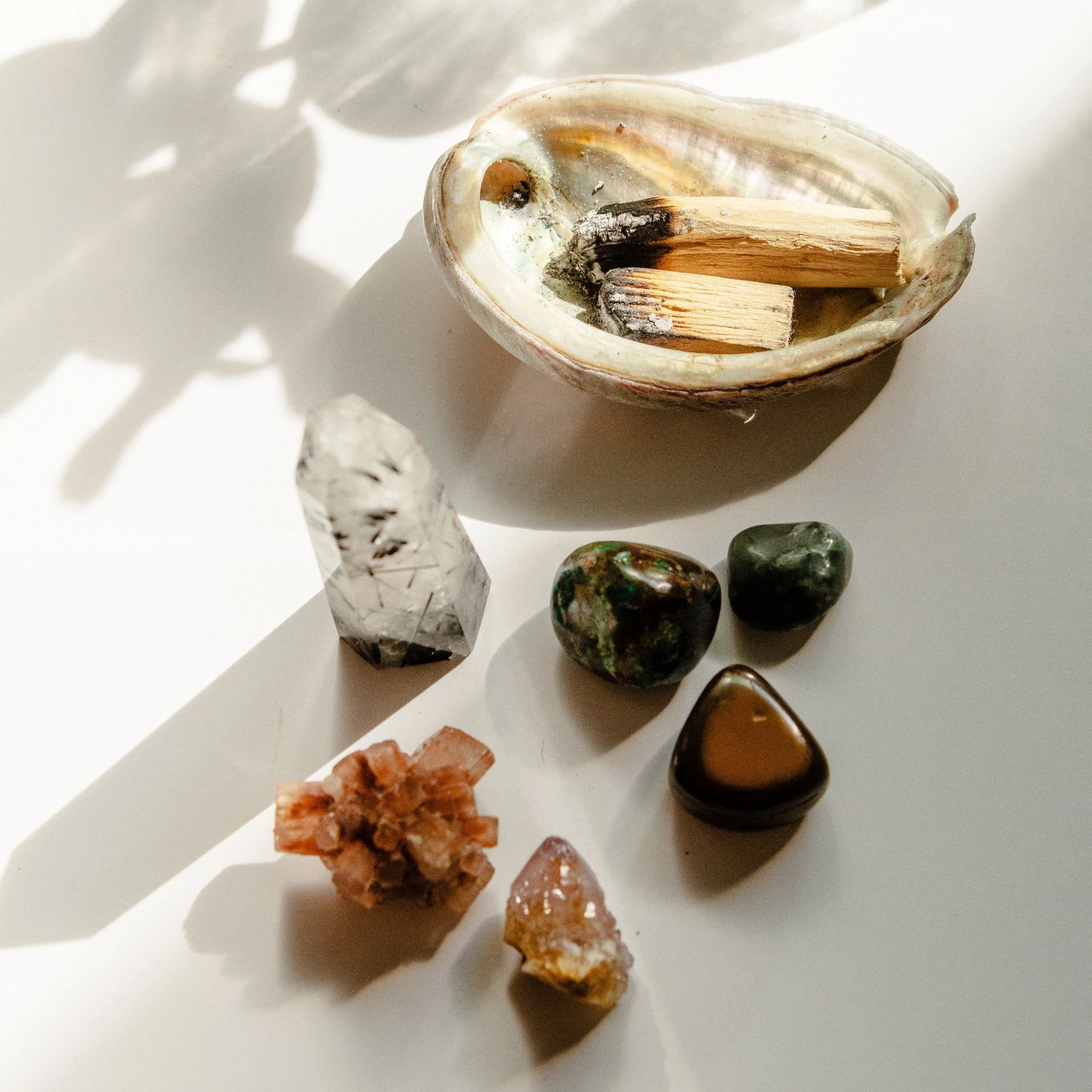 Palo+Santo+4.jpg