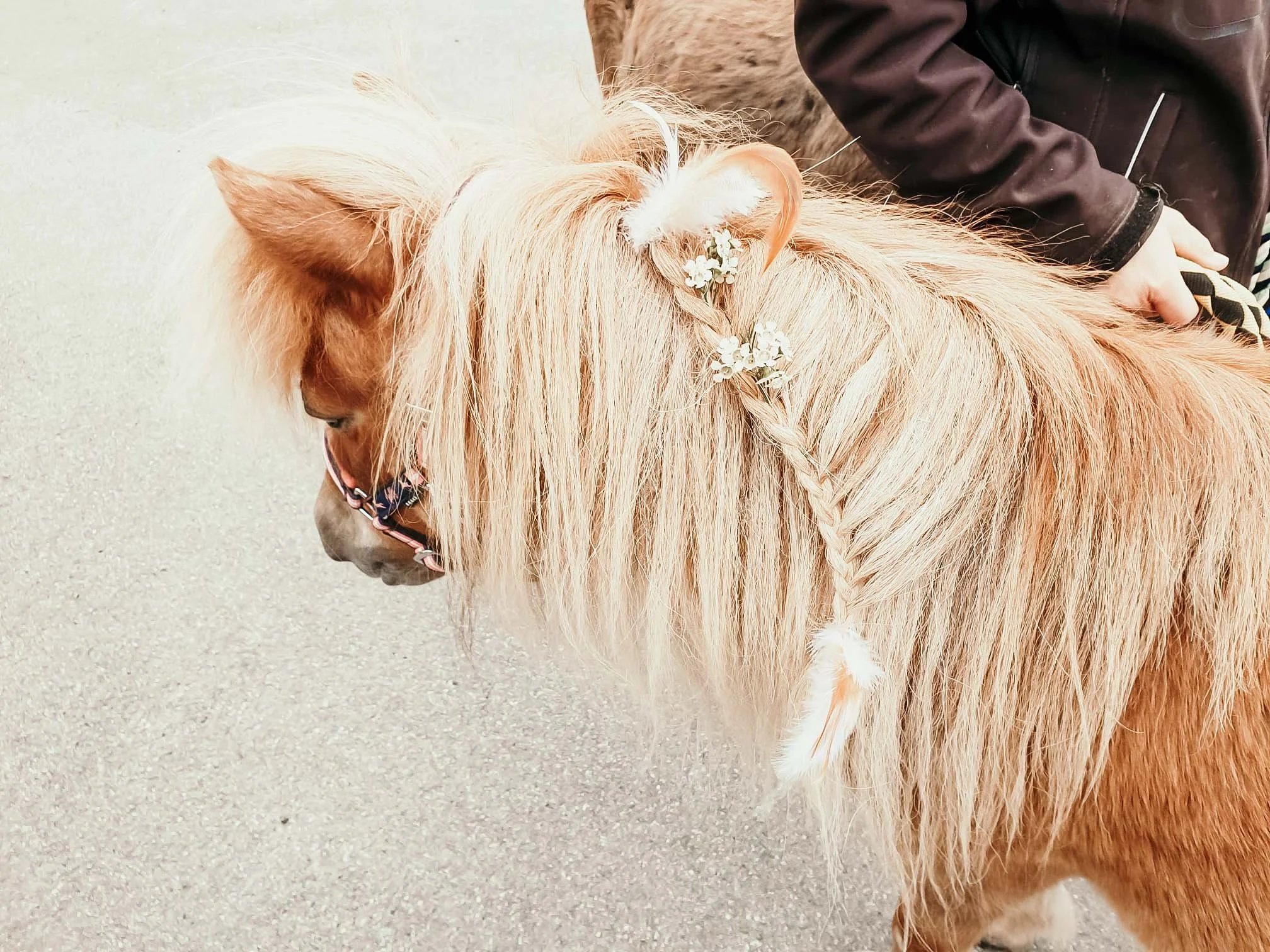 WhatsApp Image 2025-08-03 at 17.49.40.jpg