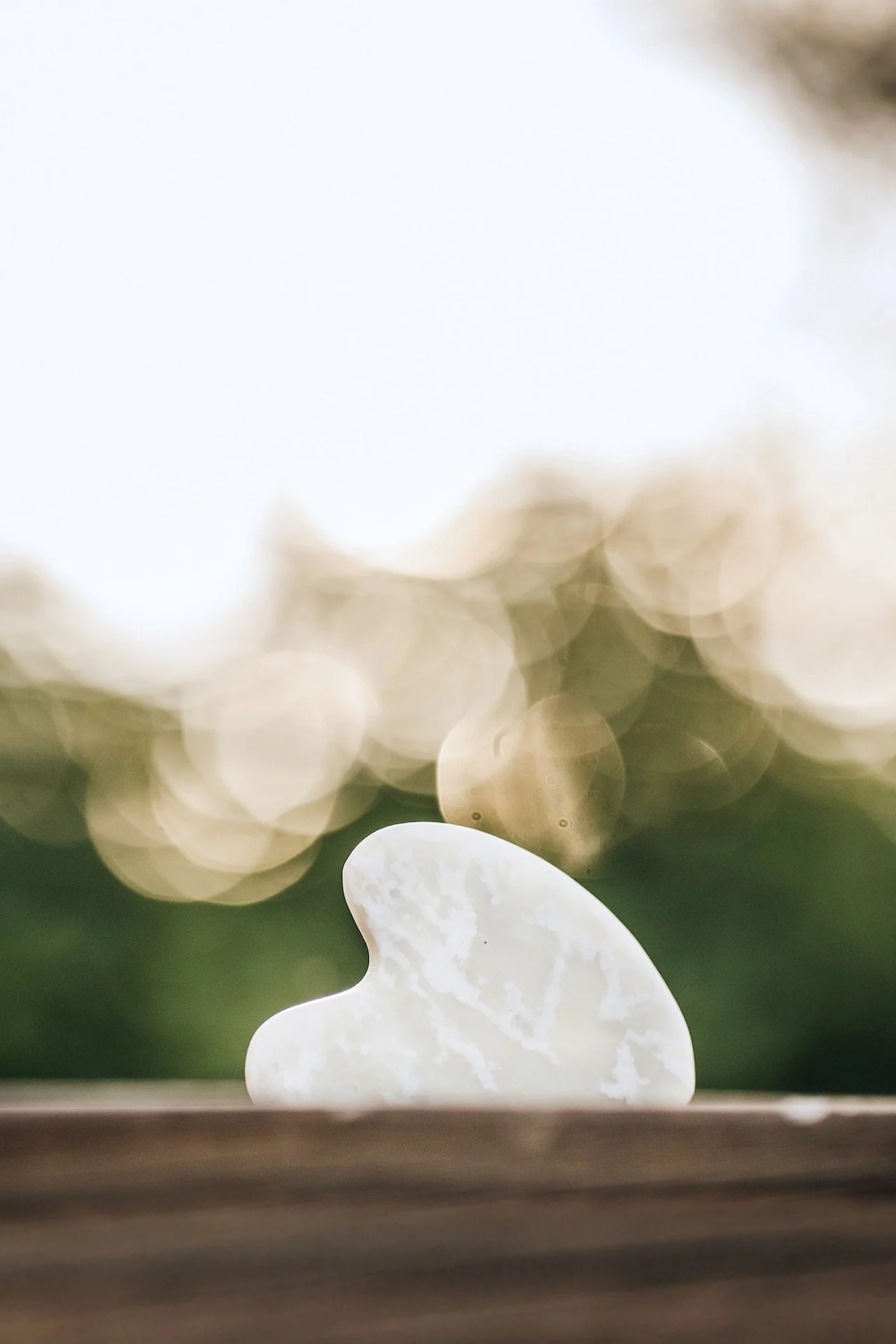 Reiten & Yoga Gua Sha 3.jpg