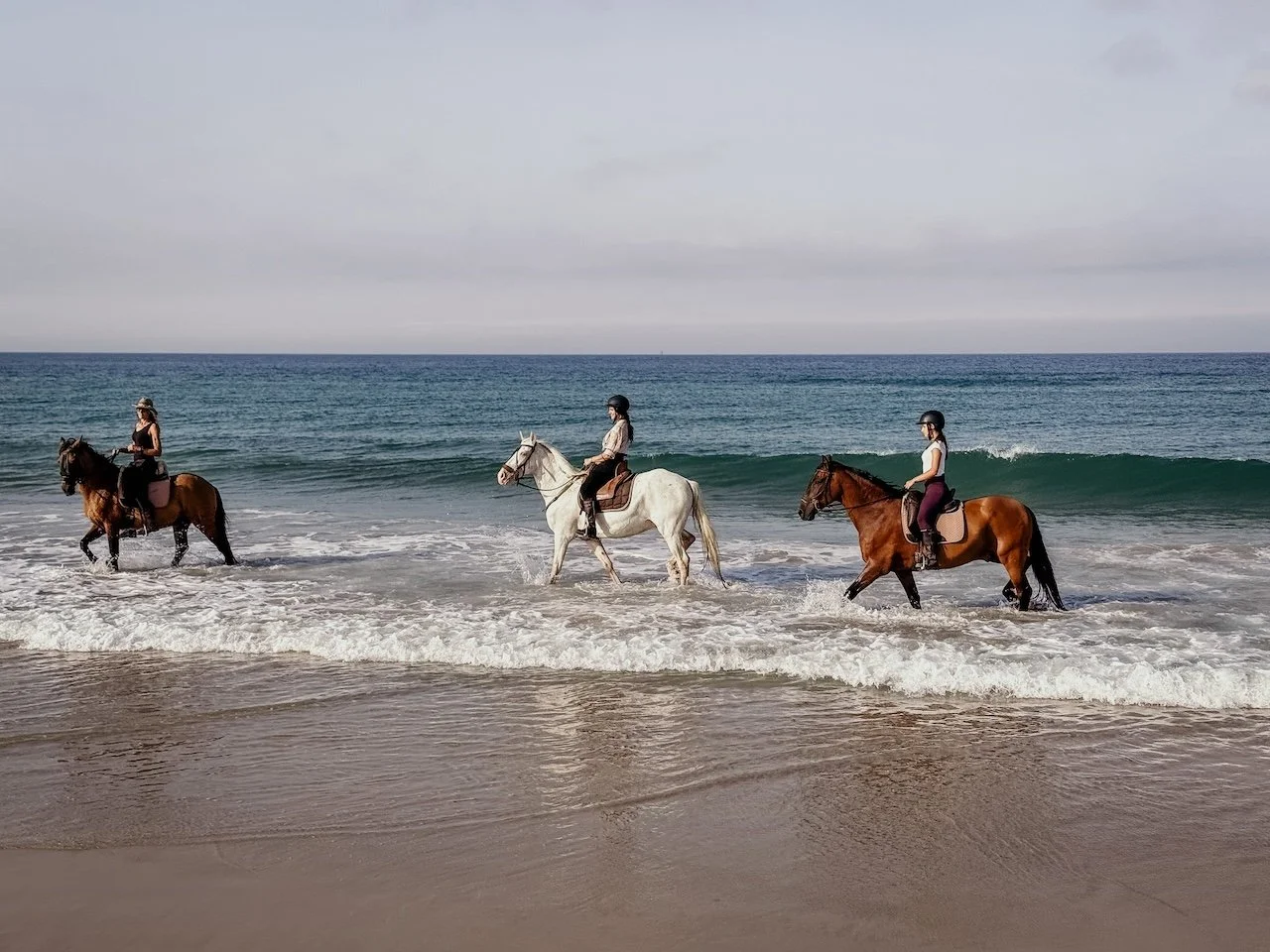 25 Tarifa 1037.jpg