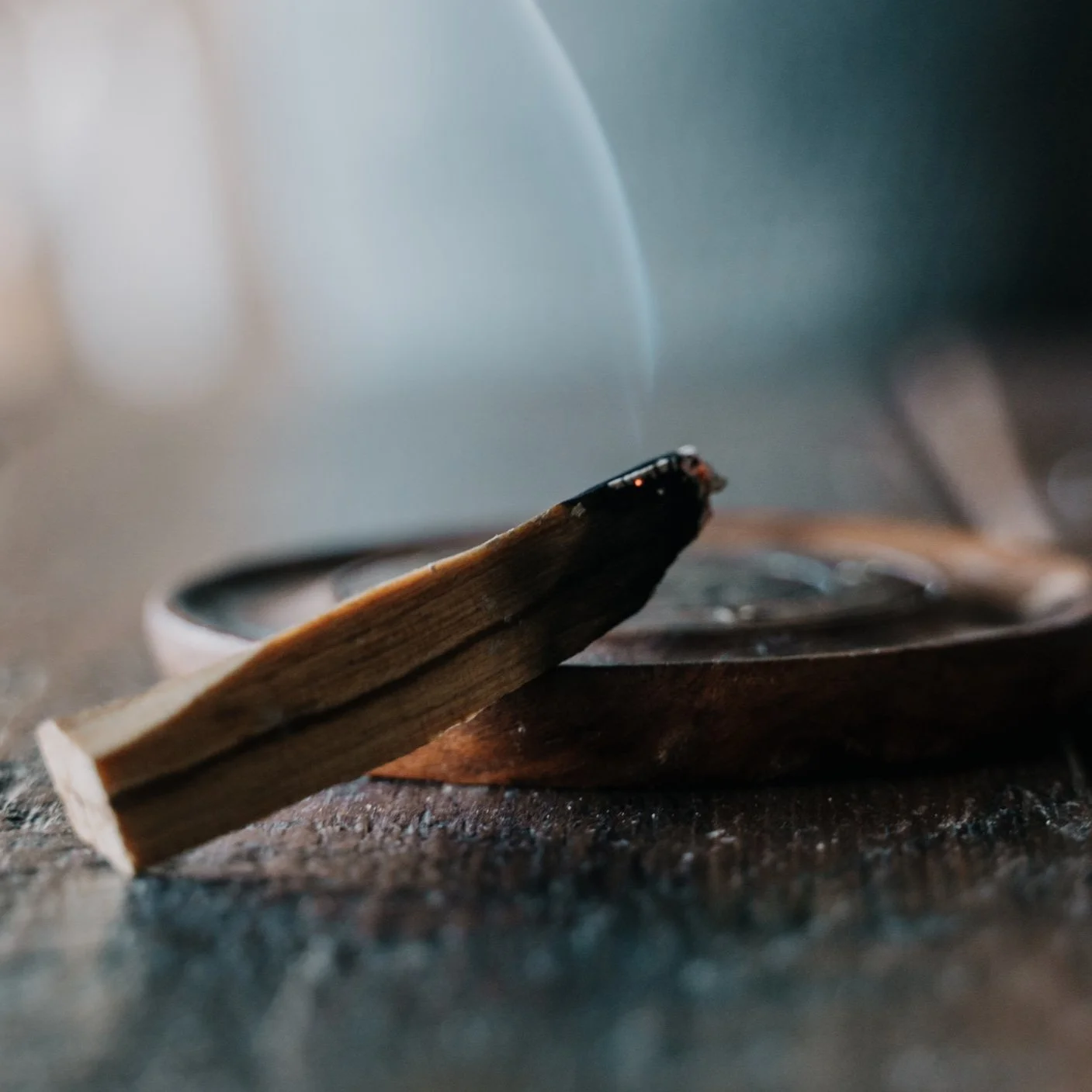 Palo+Santo+16.jpg