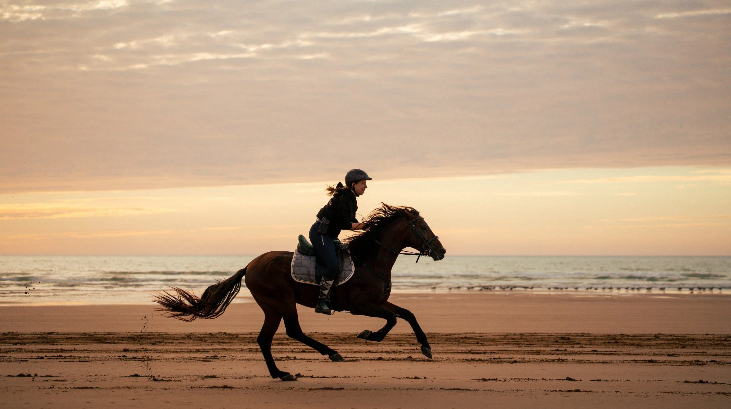 UntamedTrails_EquiEvasion_web-37.png