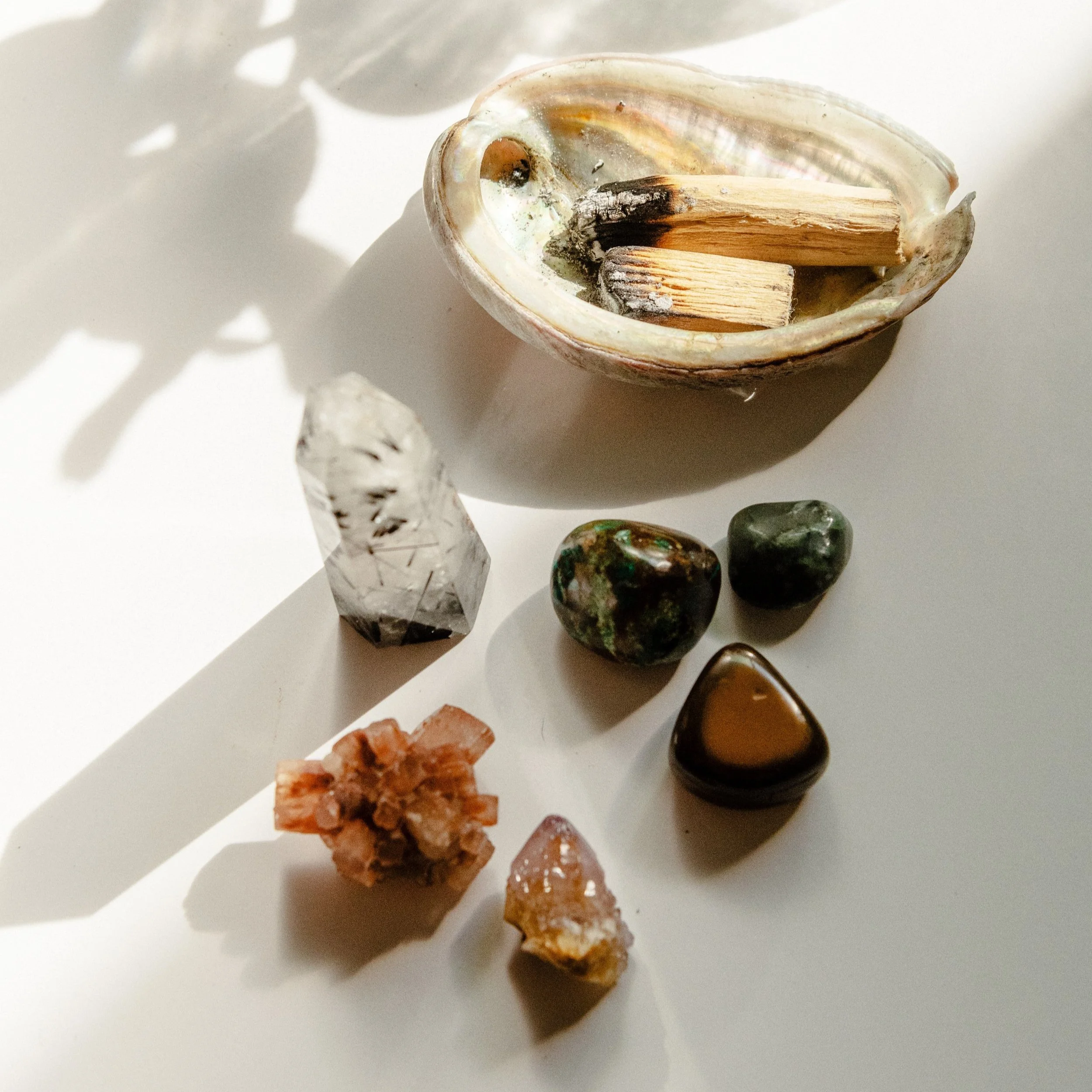 Palo+Santo+4.jpg