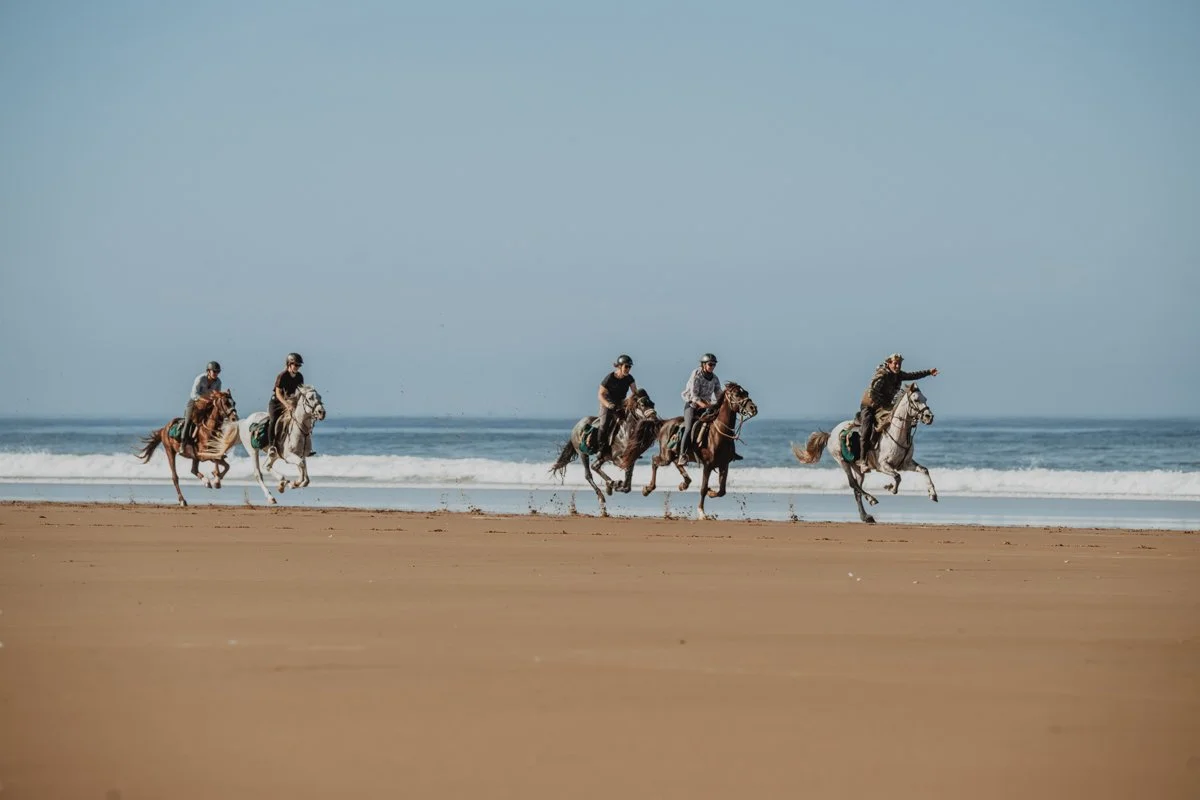 544 - MarokkoHerbst25-545.jpg