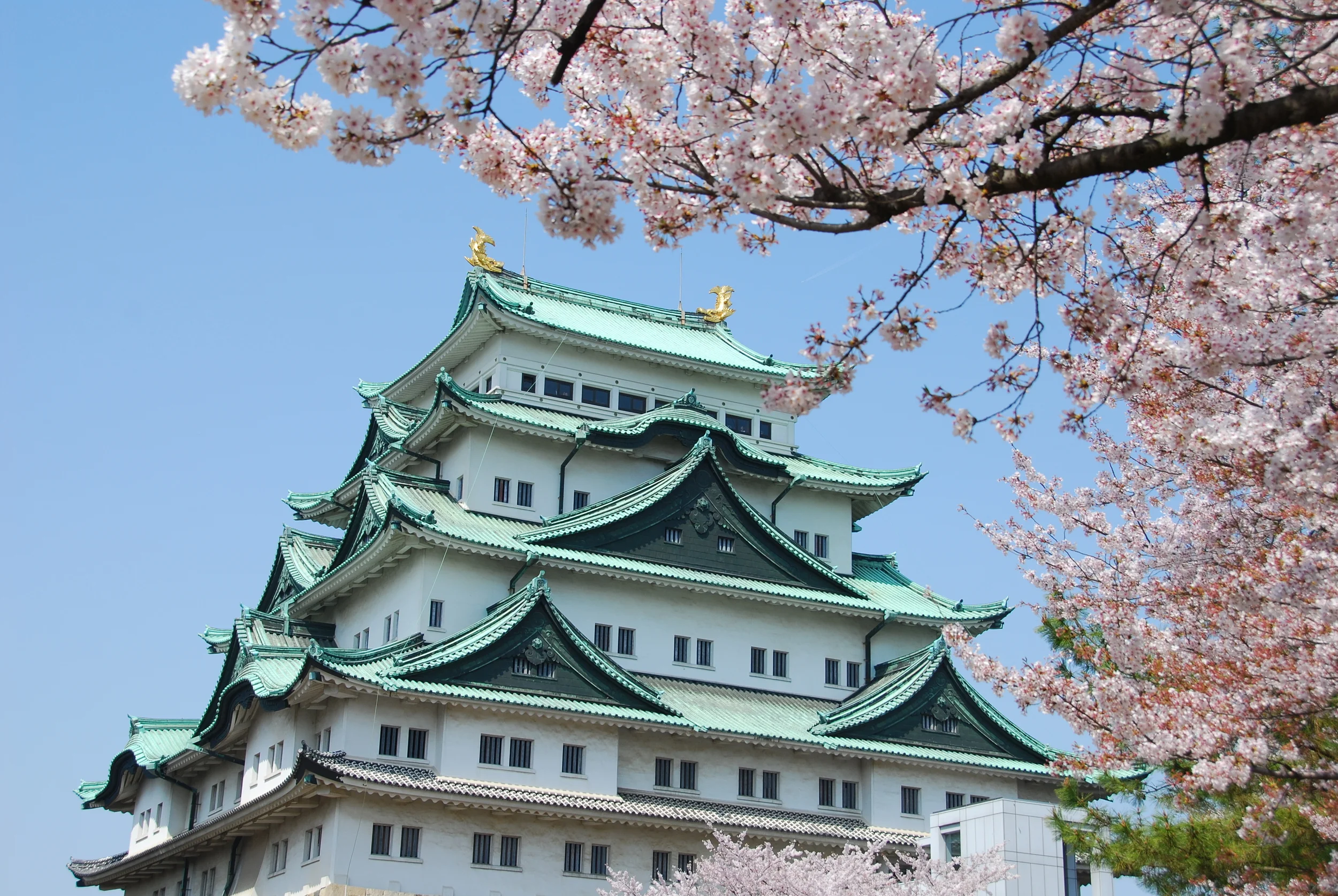 nagoyacastle.jpg
