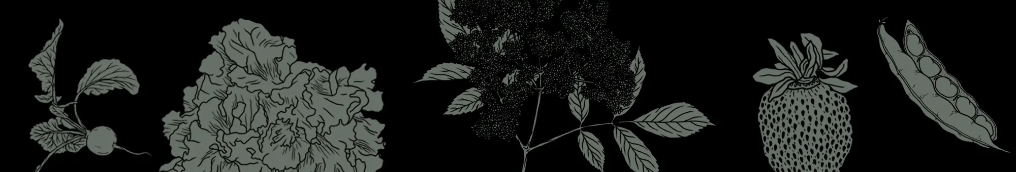 Header4.jpg