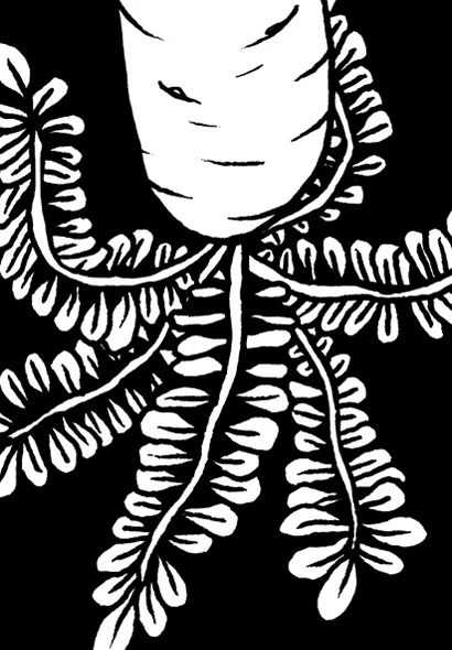 bierrettich_detail.jpg