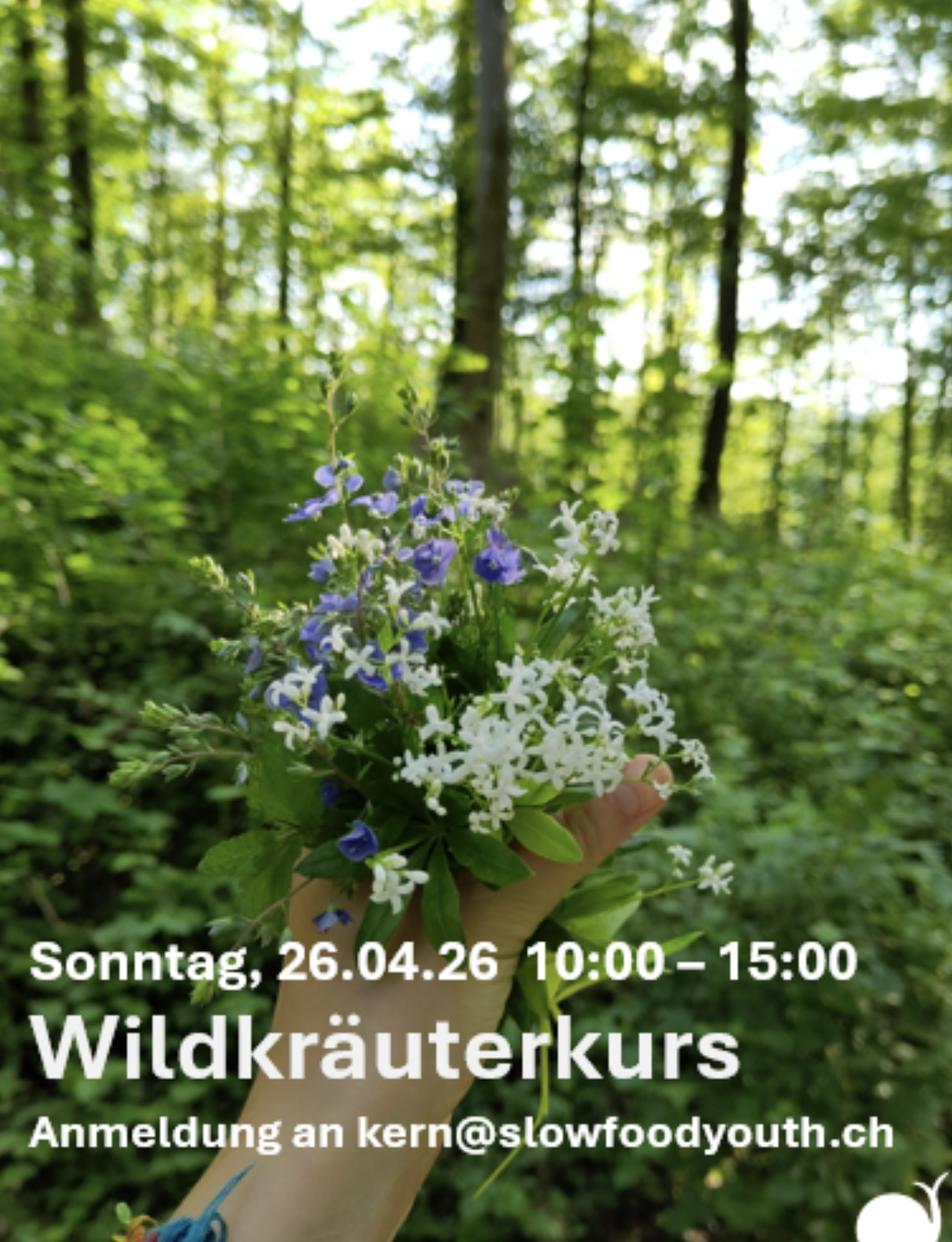 Wildkräuterkurs